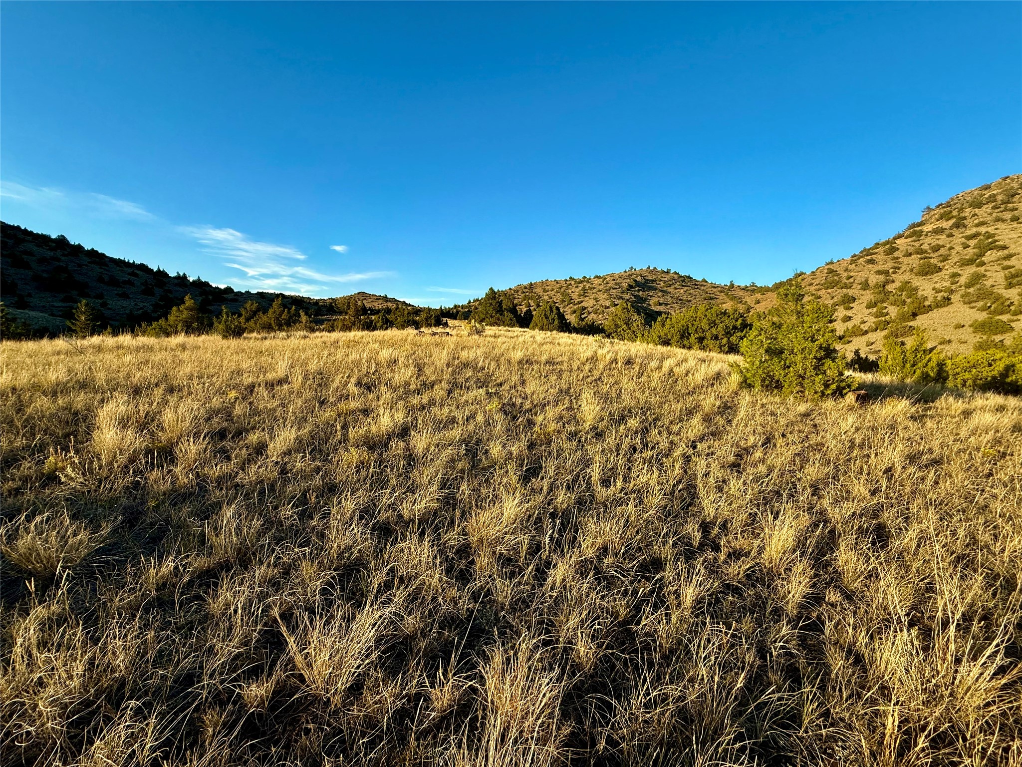Tbd Johnny Gulch Road Property Photo 16