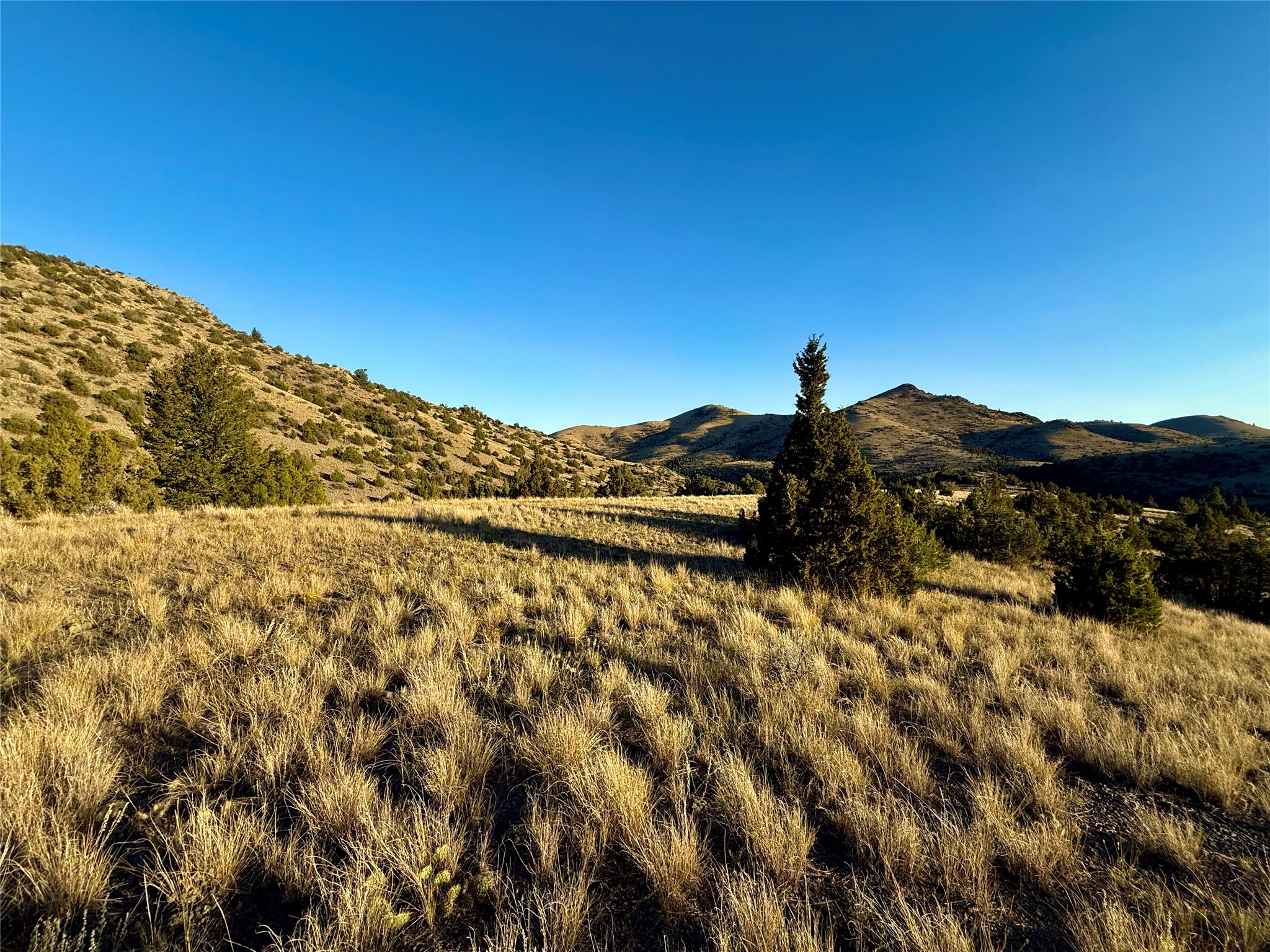 Tbd Johnny Gulch Road Property Photo 17