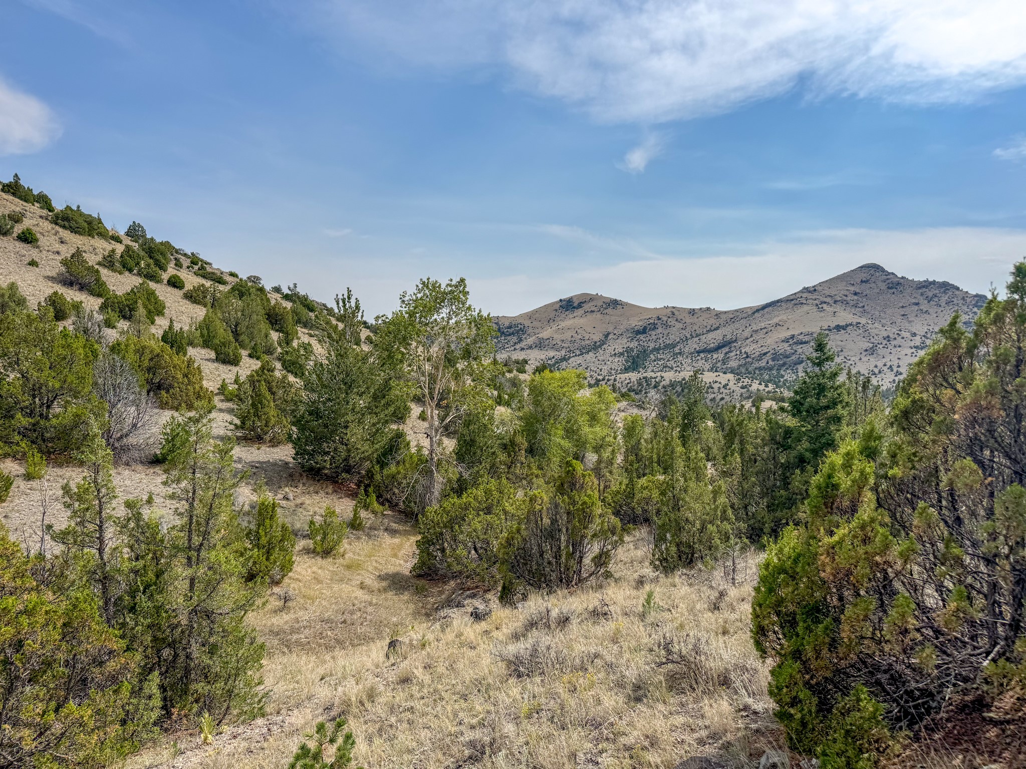Tbd Johnny Gulch Road Property Photo 22