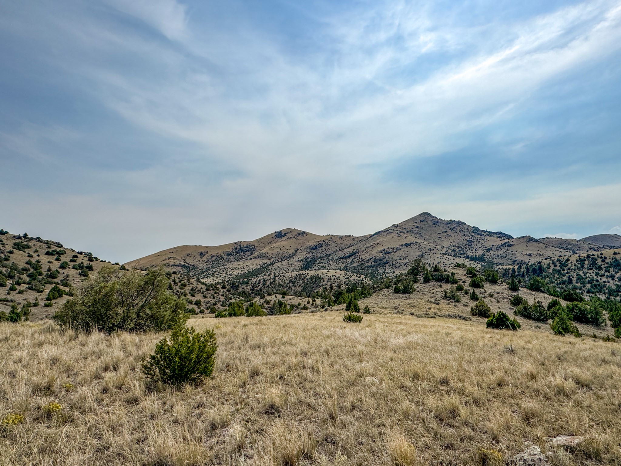 Tbd Johnny Gulch Road Property Photo 23