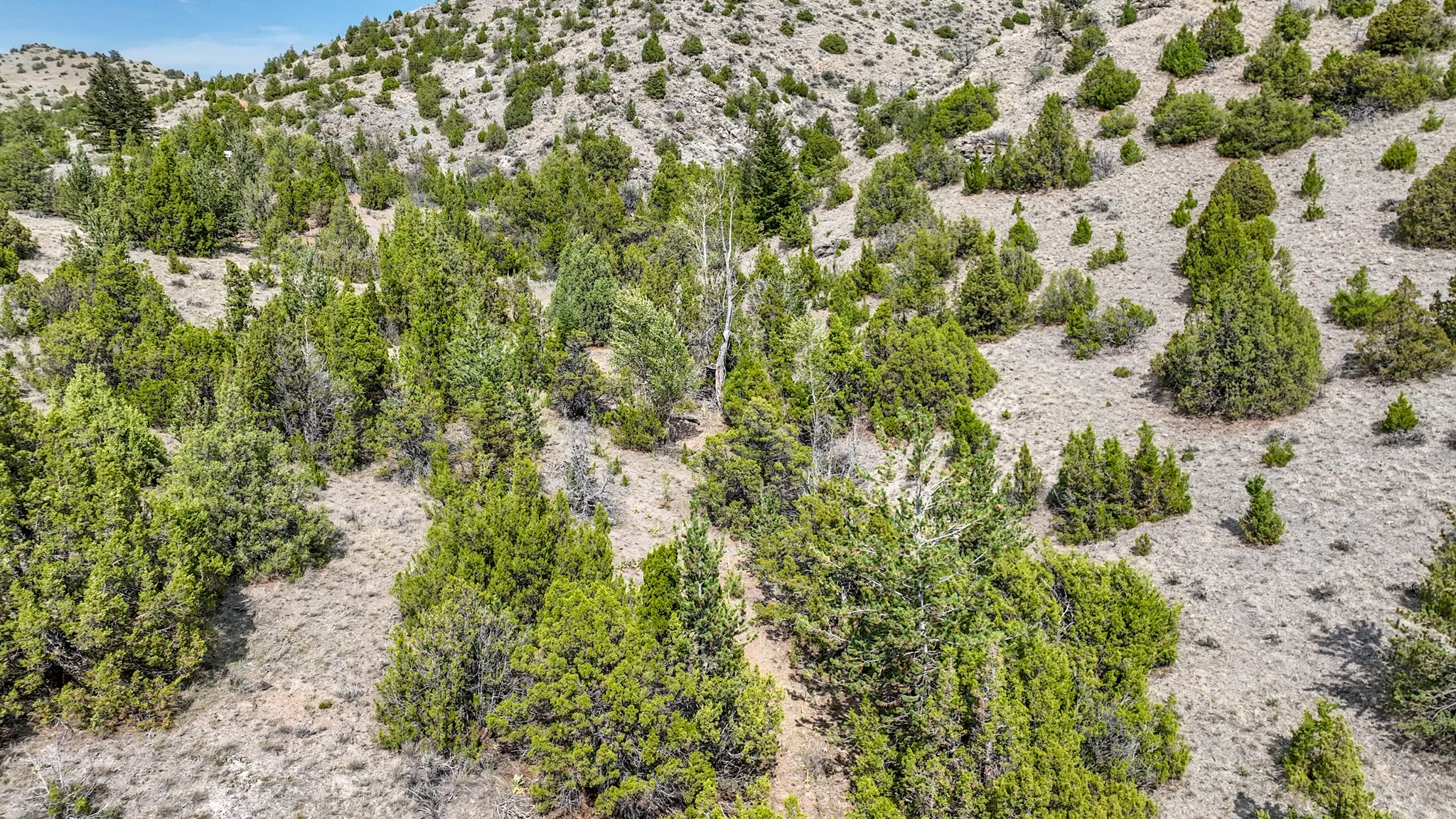 Tbd Johnny Gulch Road Property Photo 24