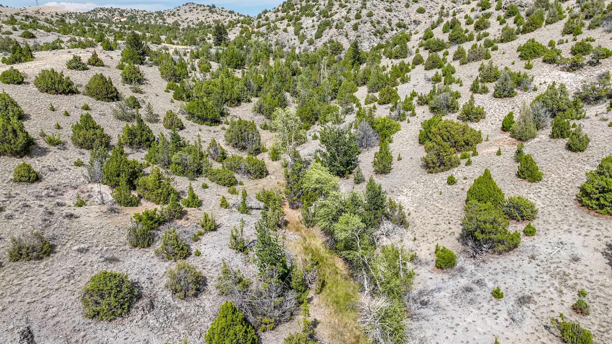 Tbd Johnny Gulch Road Property Photo 26