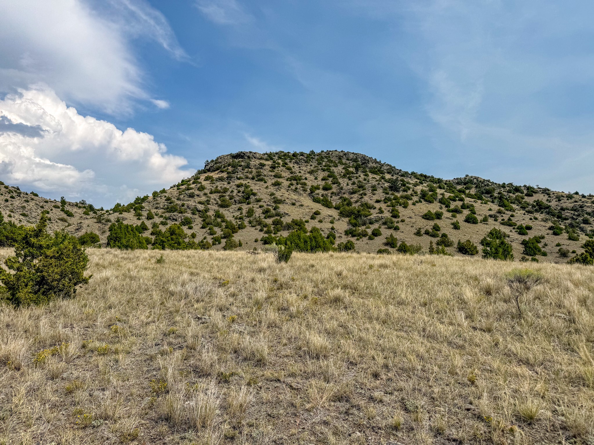 Tbd Johnny Gulch Road Property Photo 27