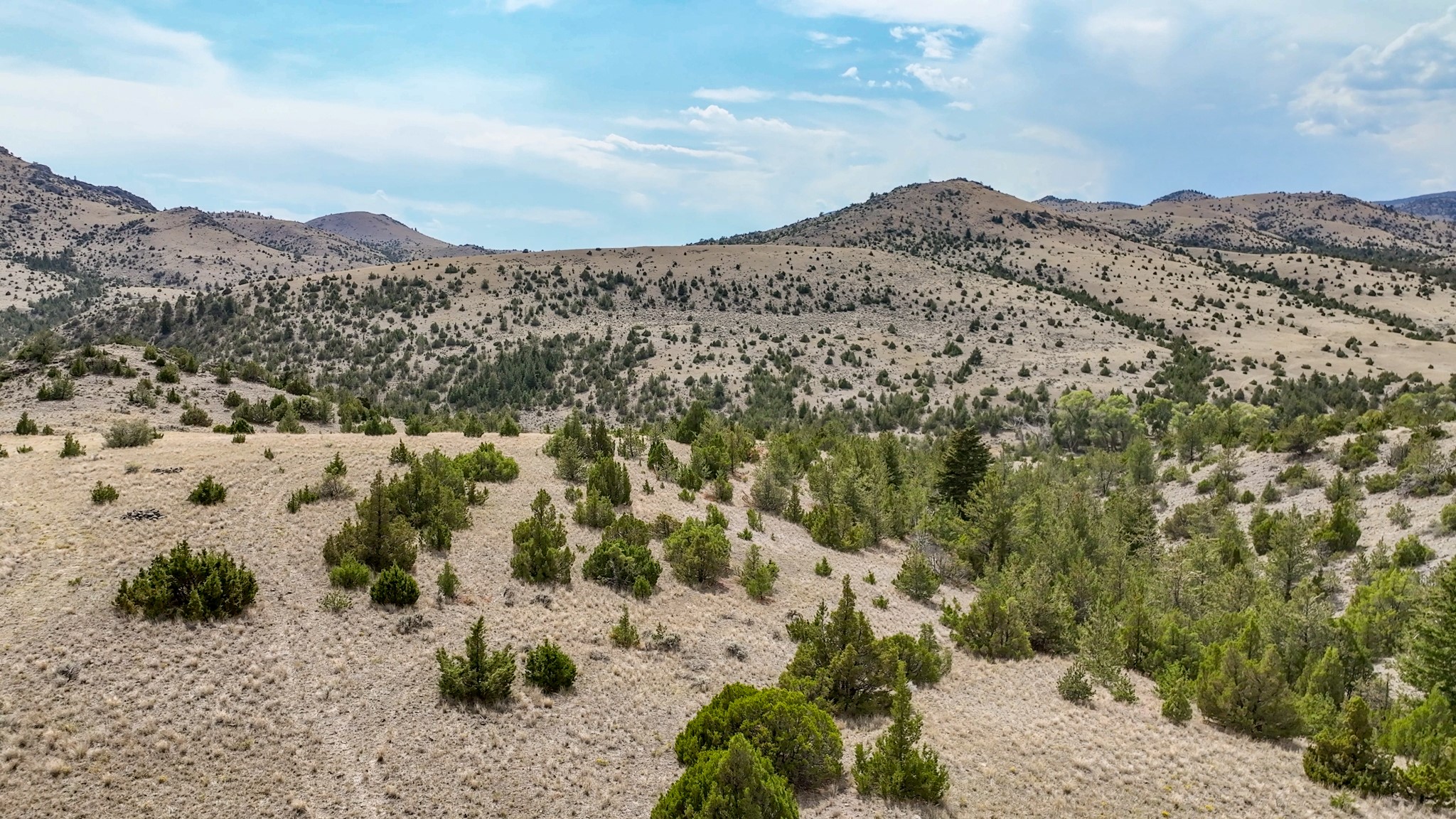 Tbd Johnny Gulch Road Property Photo 28