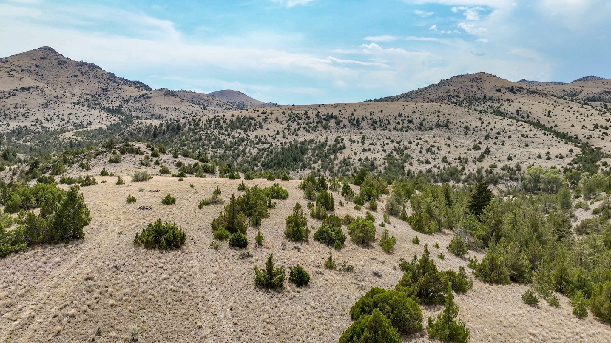 Tbd Johnny Gulch Road Property Photo 29