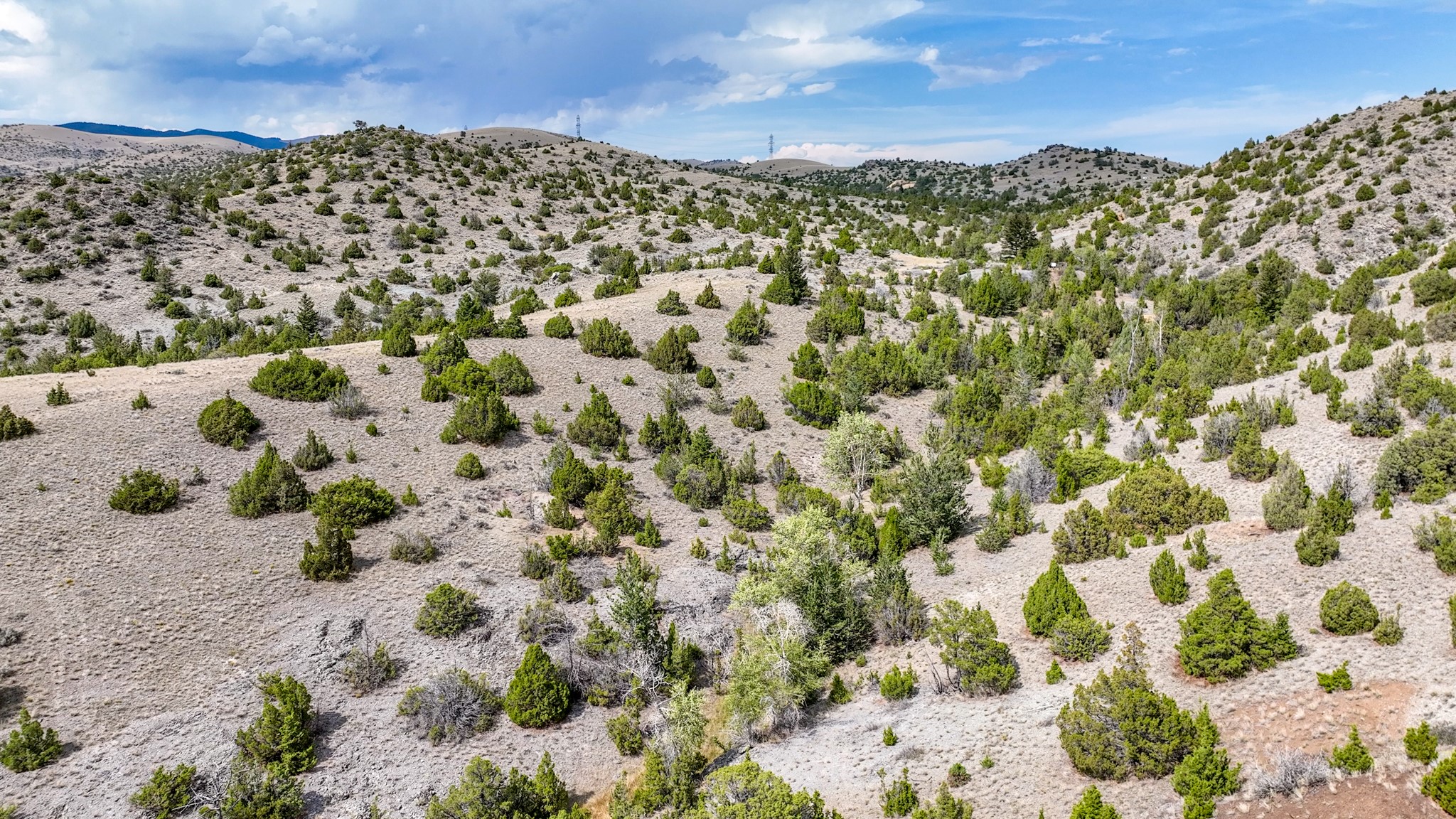 Tbd Johnny Gulch Road Property Photo 37