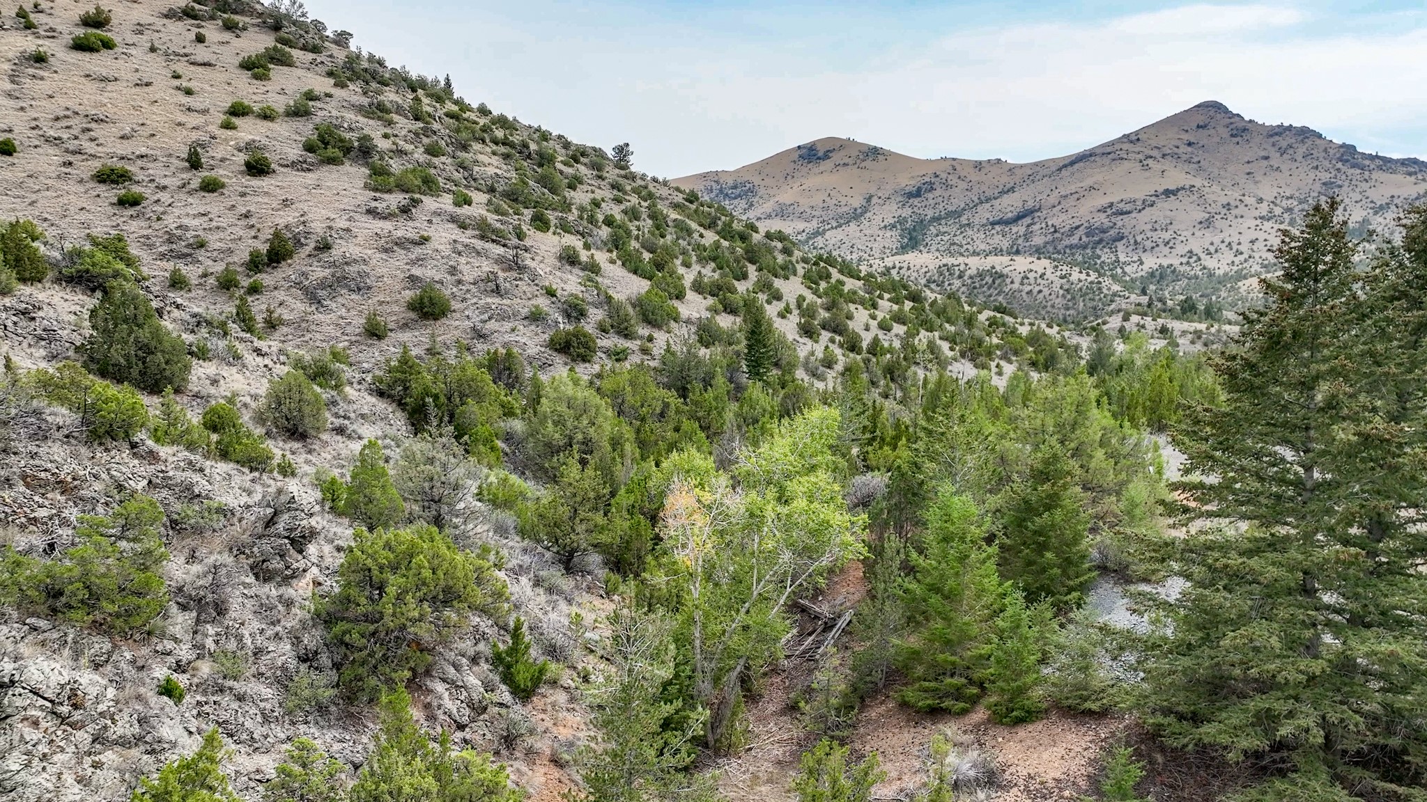 Tbd Johnny Gulch Road Property Photo 38