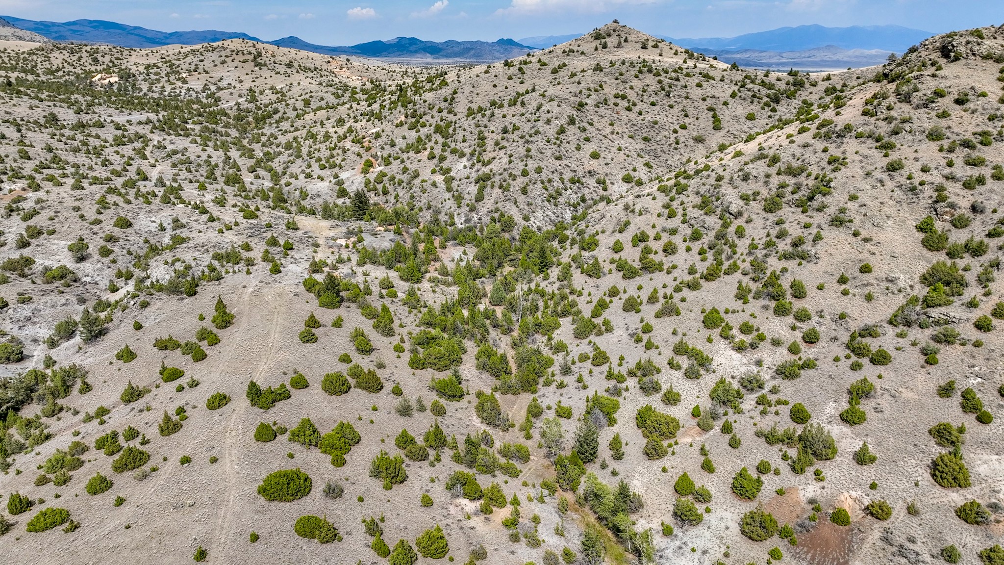 Tbd Johnny Gulch Road Property Photo 41