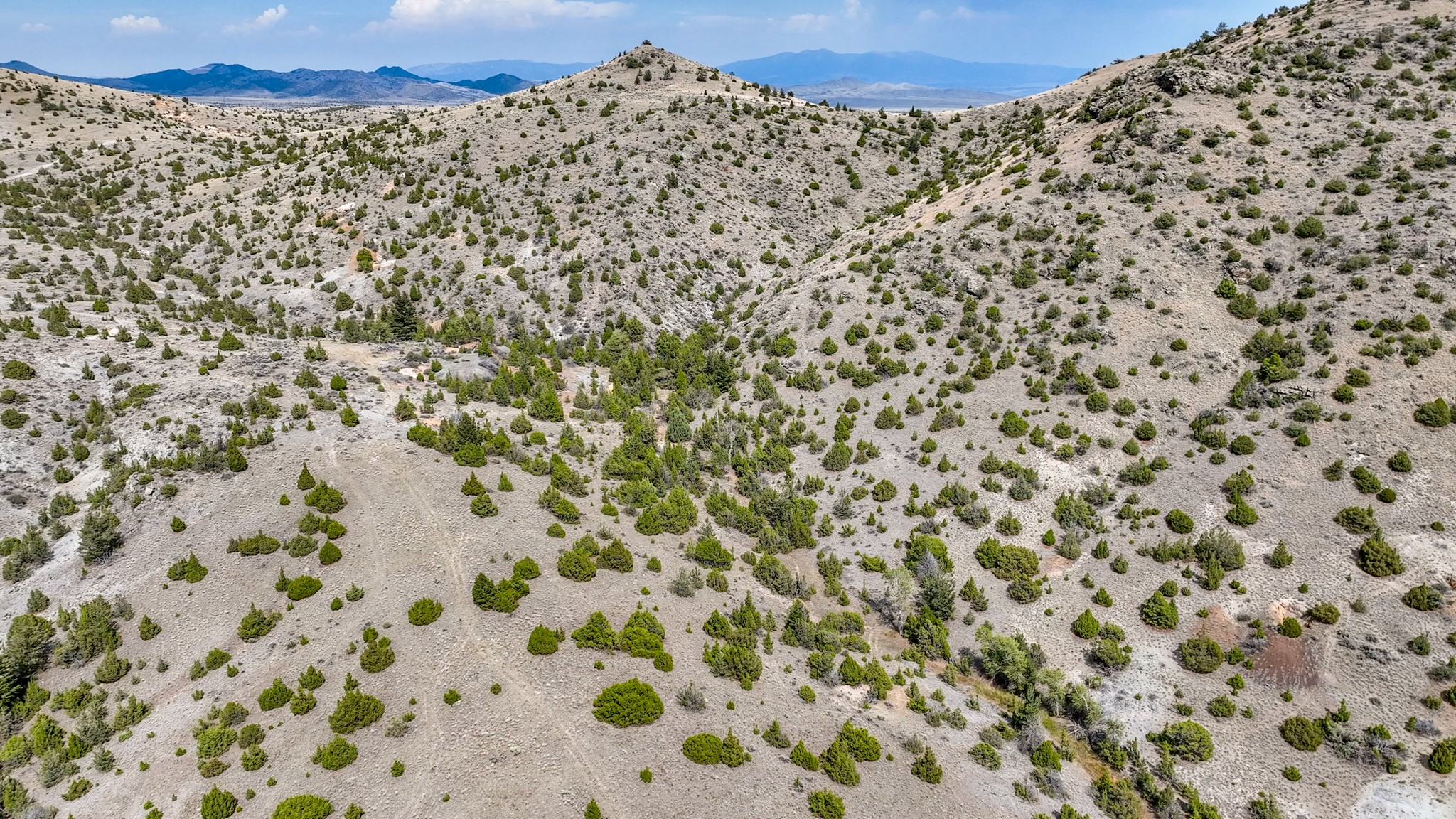 Tbd Johnny Gulch Road Property Photo 42