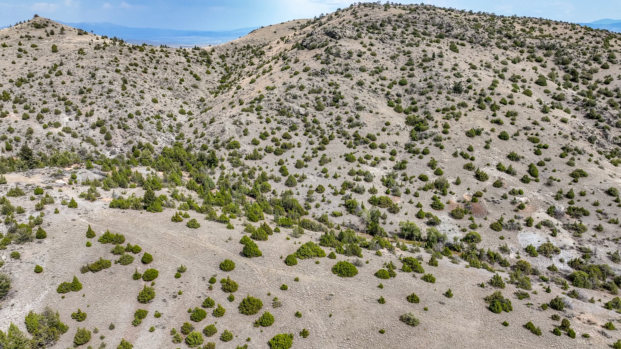 Tbd Johnny Gulch Road Property Photo 43