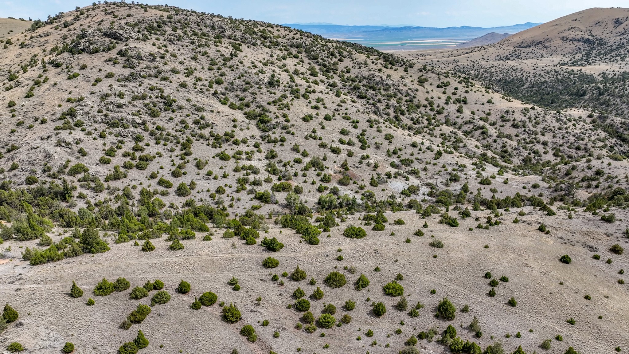 Tbd Johnny Gulch Road Property Photo 44