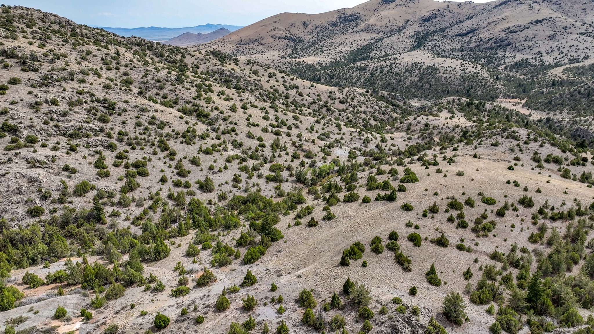 Tbd Johnny Gulch Road Property Photo 45