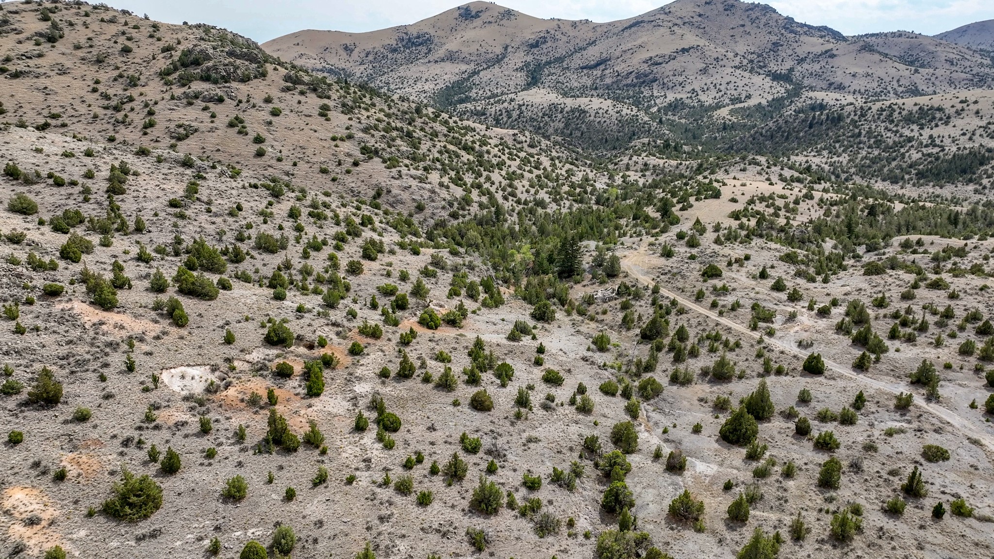 Tbd Johnny Gulch Road Property Photo 46