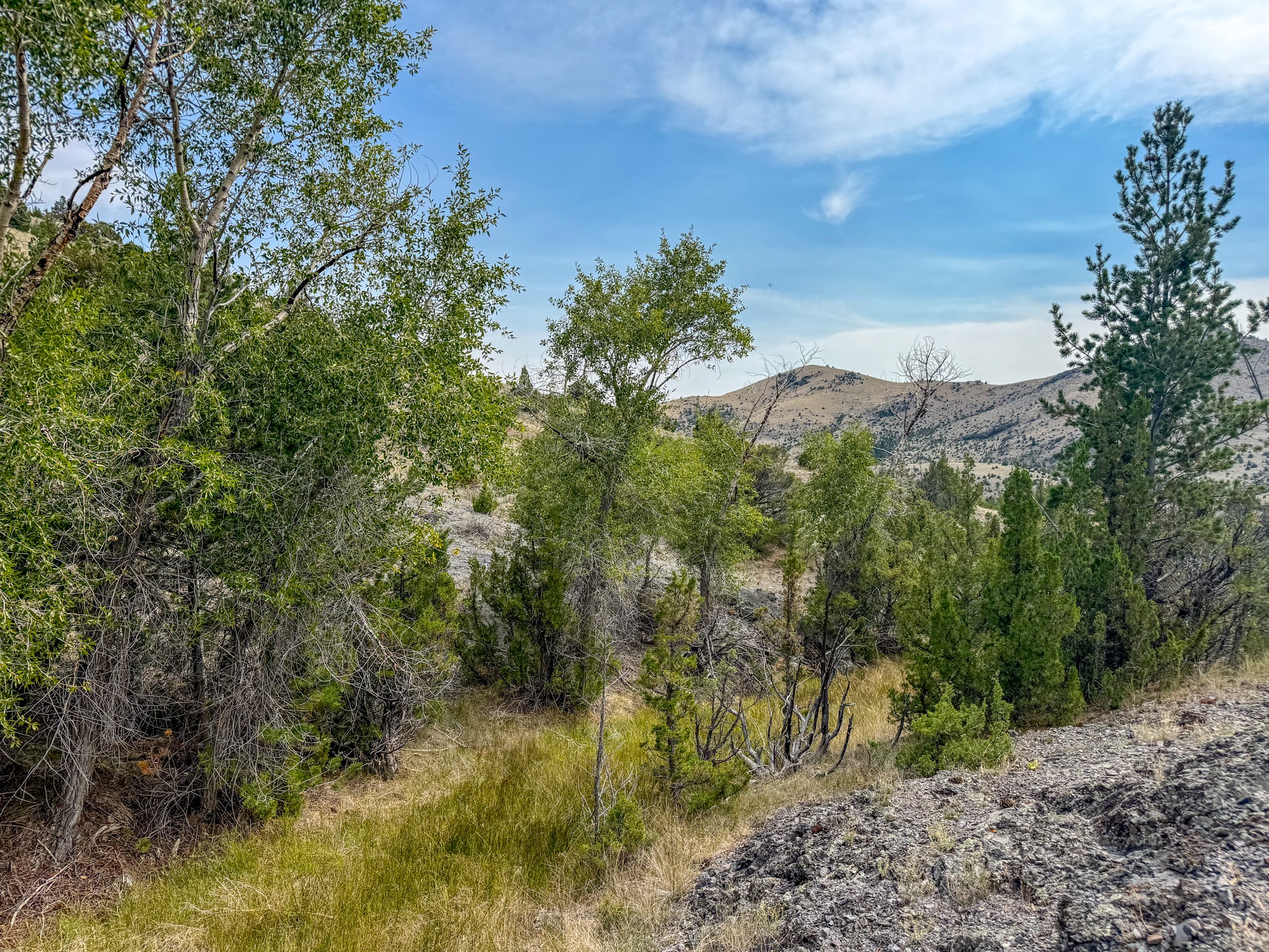 Tbd Johnny Gulch Road Property Photo 47