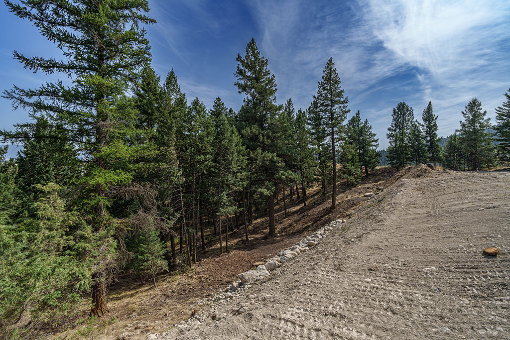 138 Ashley Hills Drive Property Photo 4