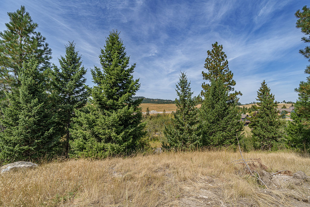 138 Ashley Hills Drive Property Photo 11