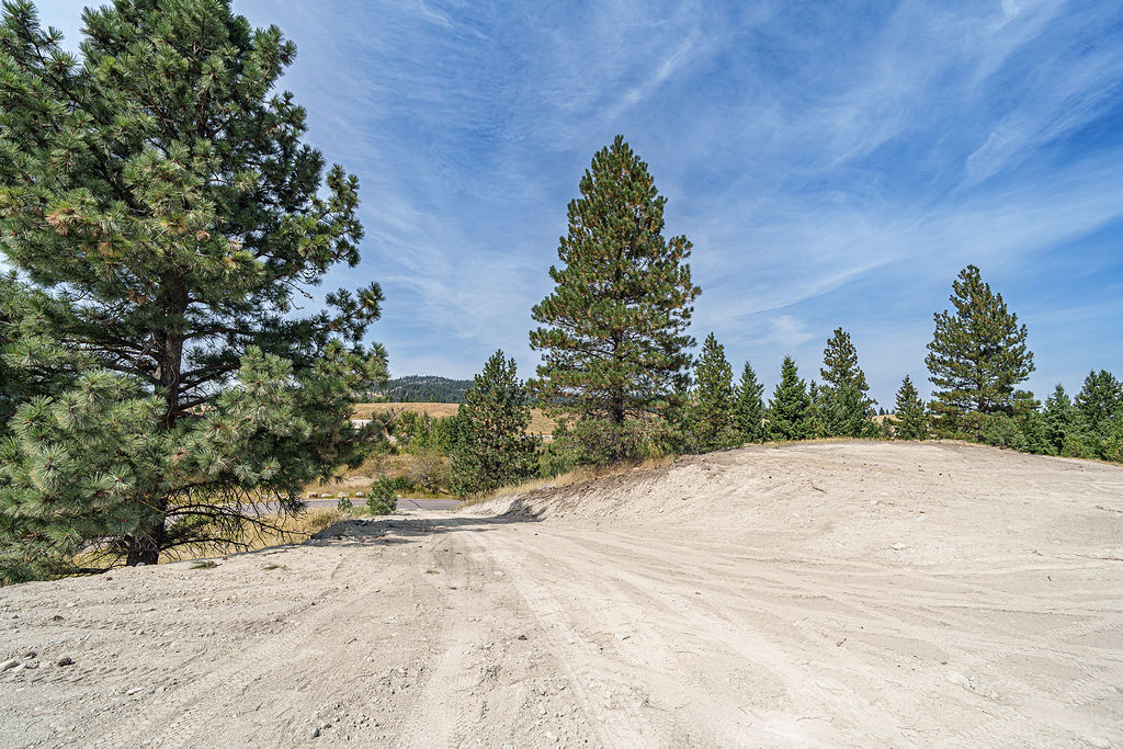 138 Ashley Hills Drive Property Photo 14