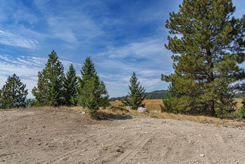 138 Ashley Hills Drive Property Photo 22