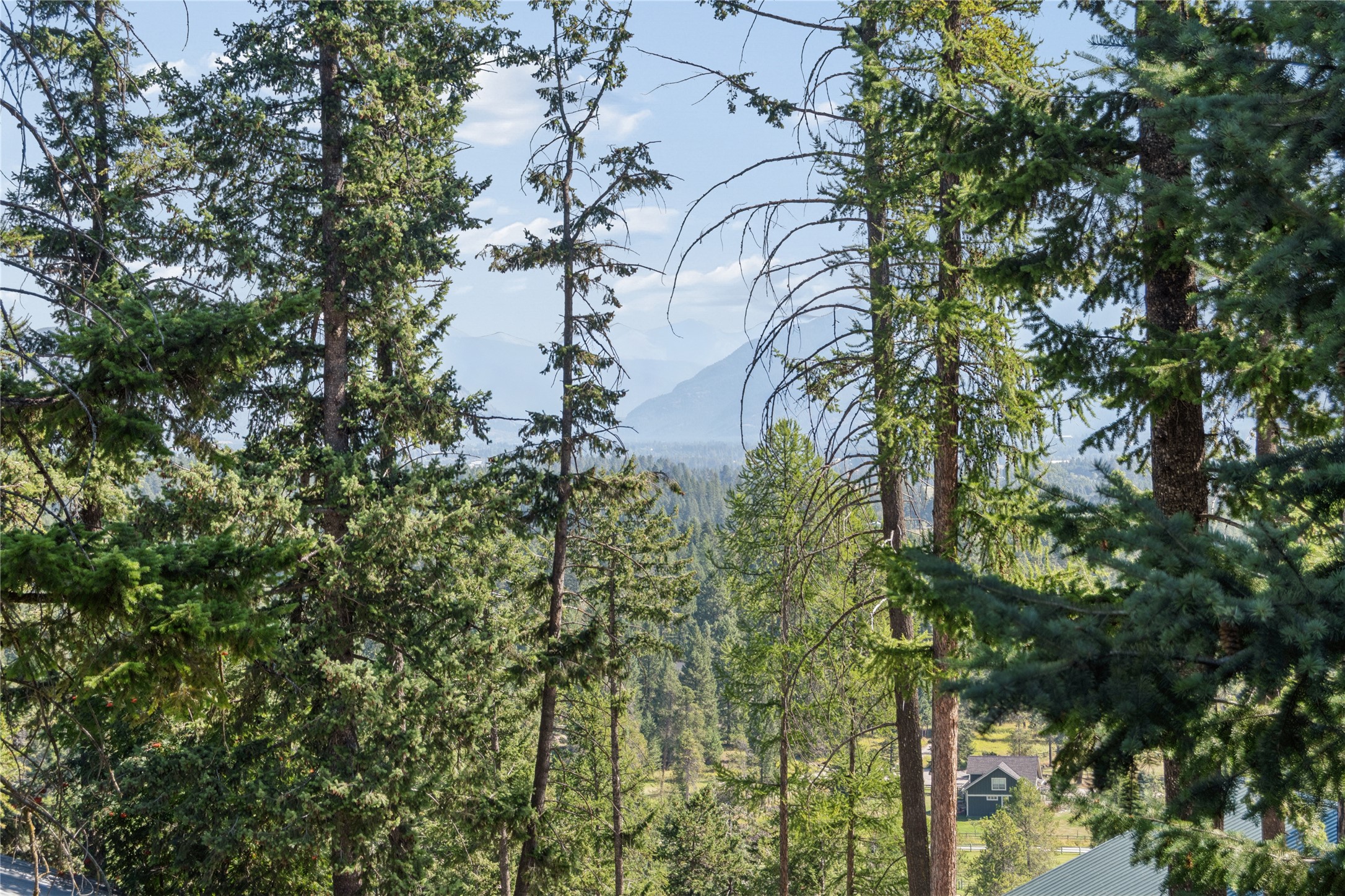 226 Goat Trail Property Photo 52