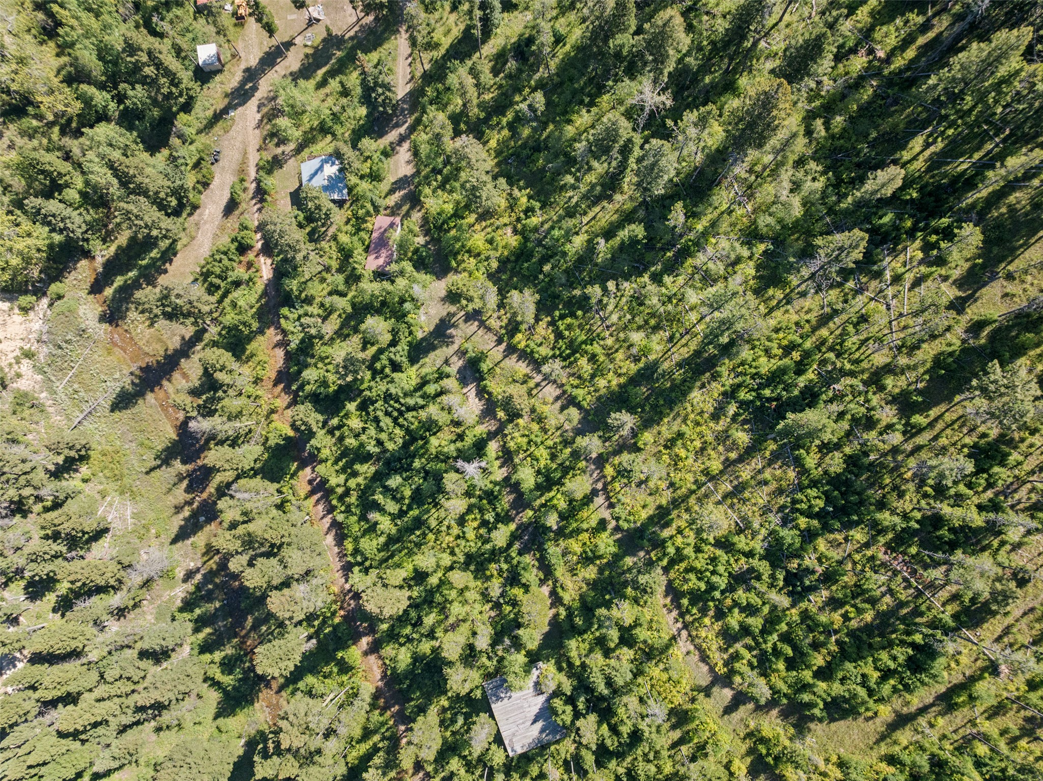 4100 Mt Highway 200 Property Photo 1