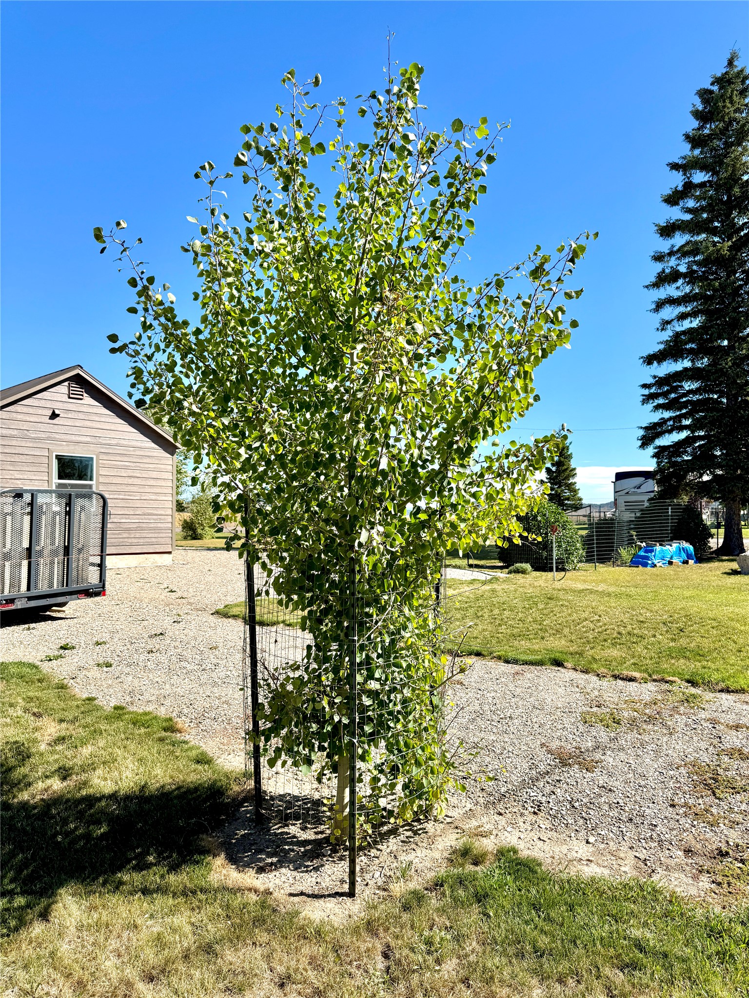 518 E Larime Street Property Photo 8