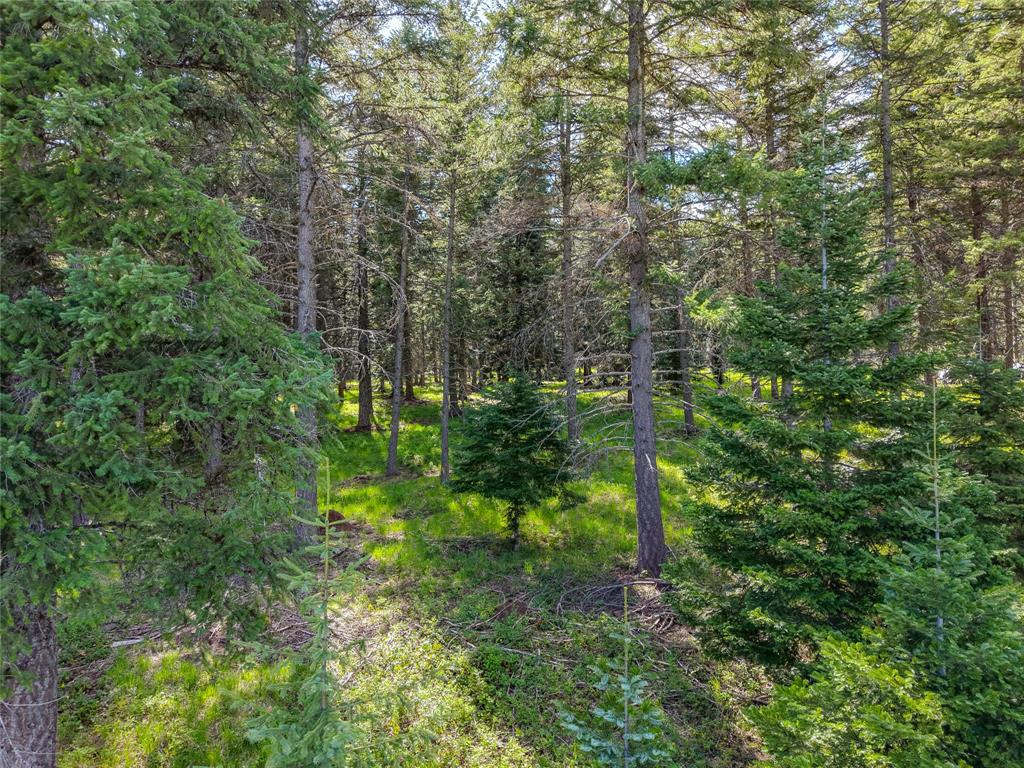 260 Bobtail Meadow Road Property Photo 41