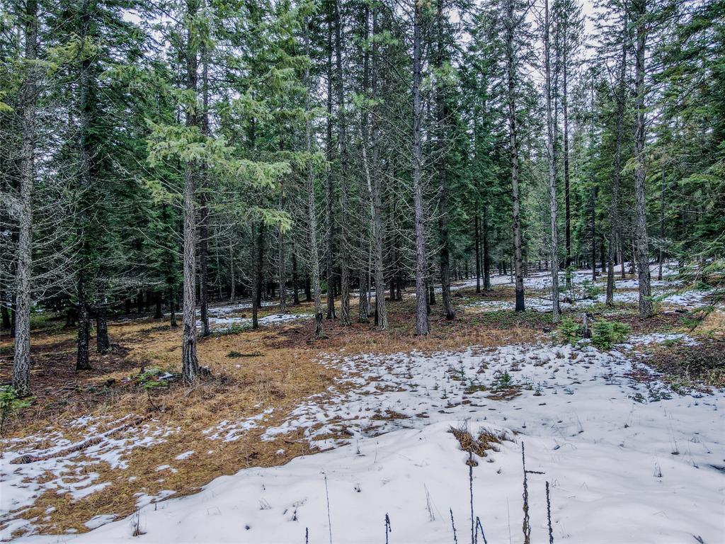 260 Bobtail Meadow Road Property Photo 44