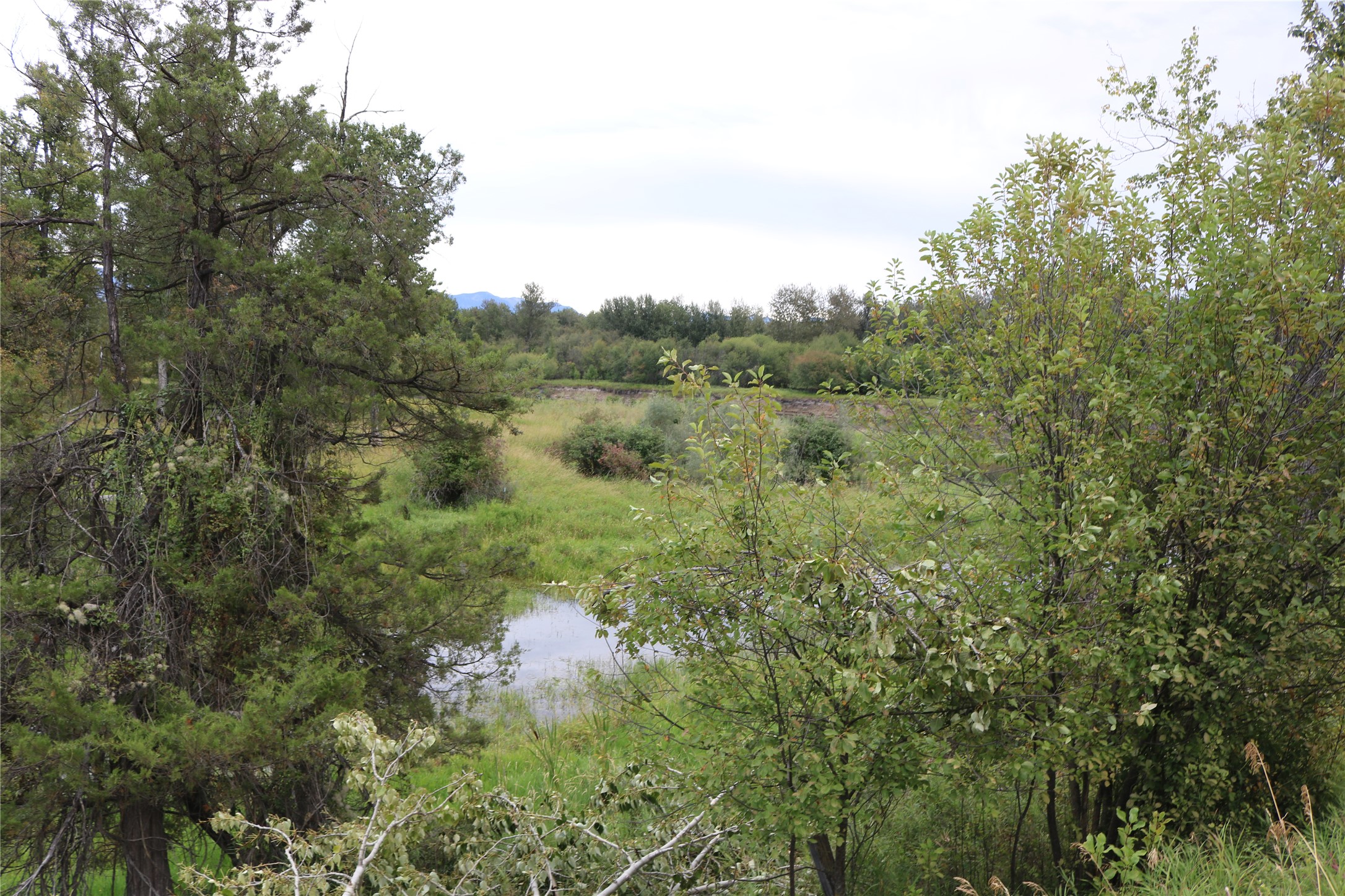 415 Leisure Drive Property Photo 51