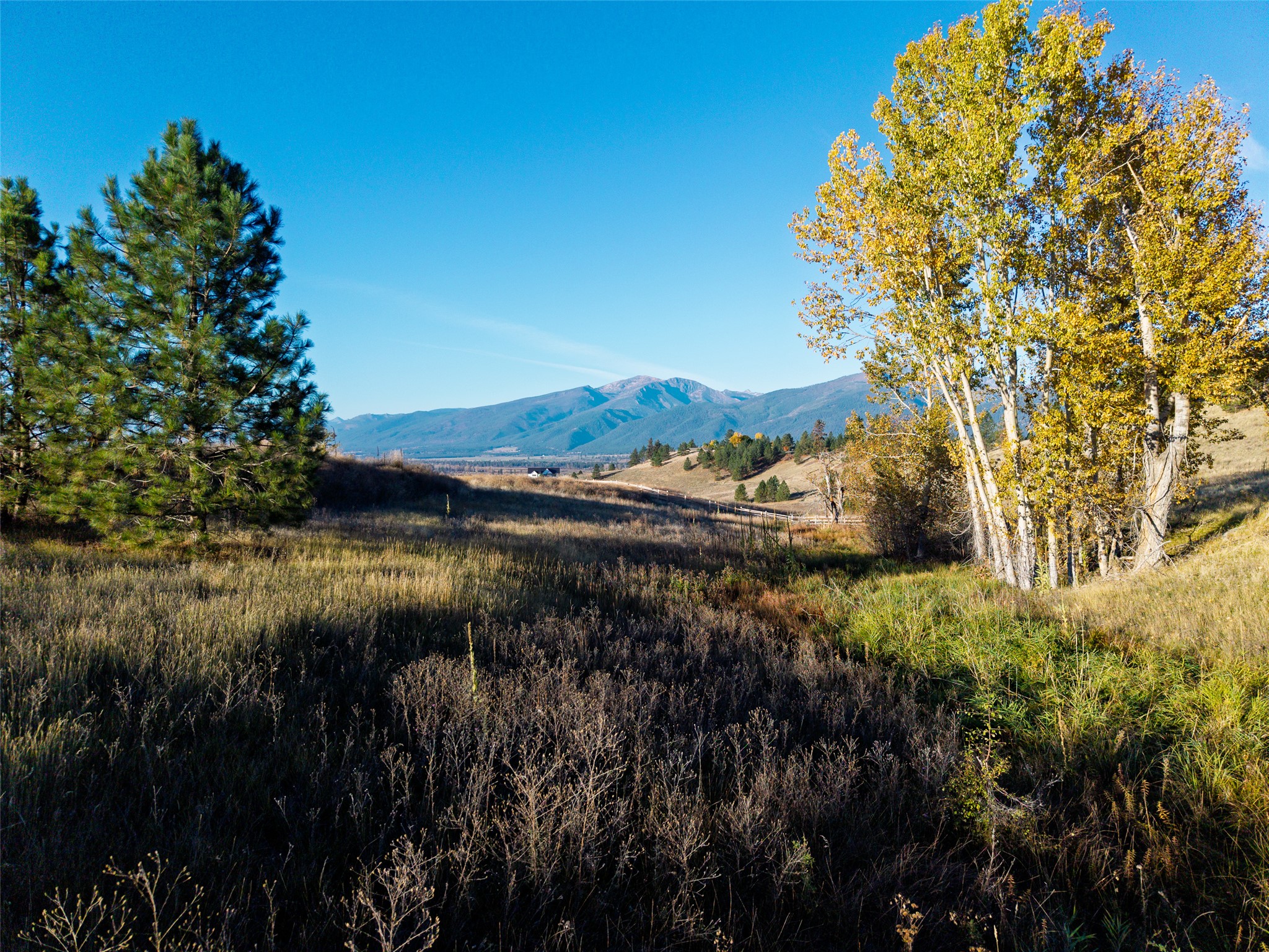 1117 Rugged Ridge Road Property Photo 12