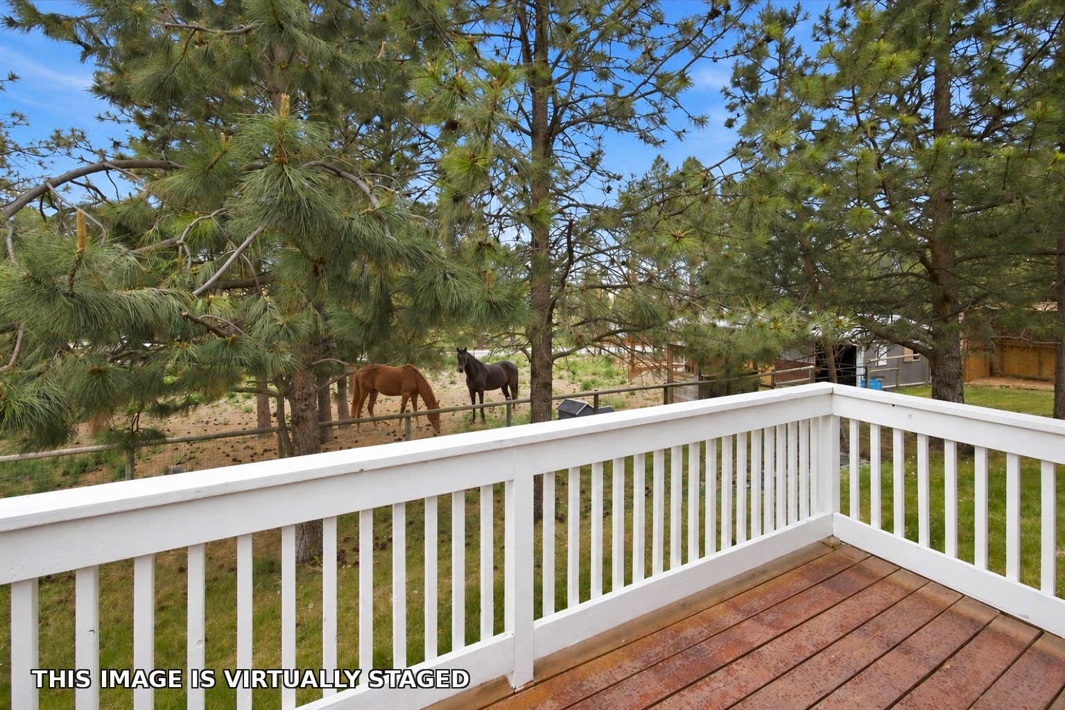 311 Shadows Lane Property Photo 59