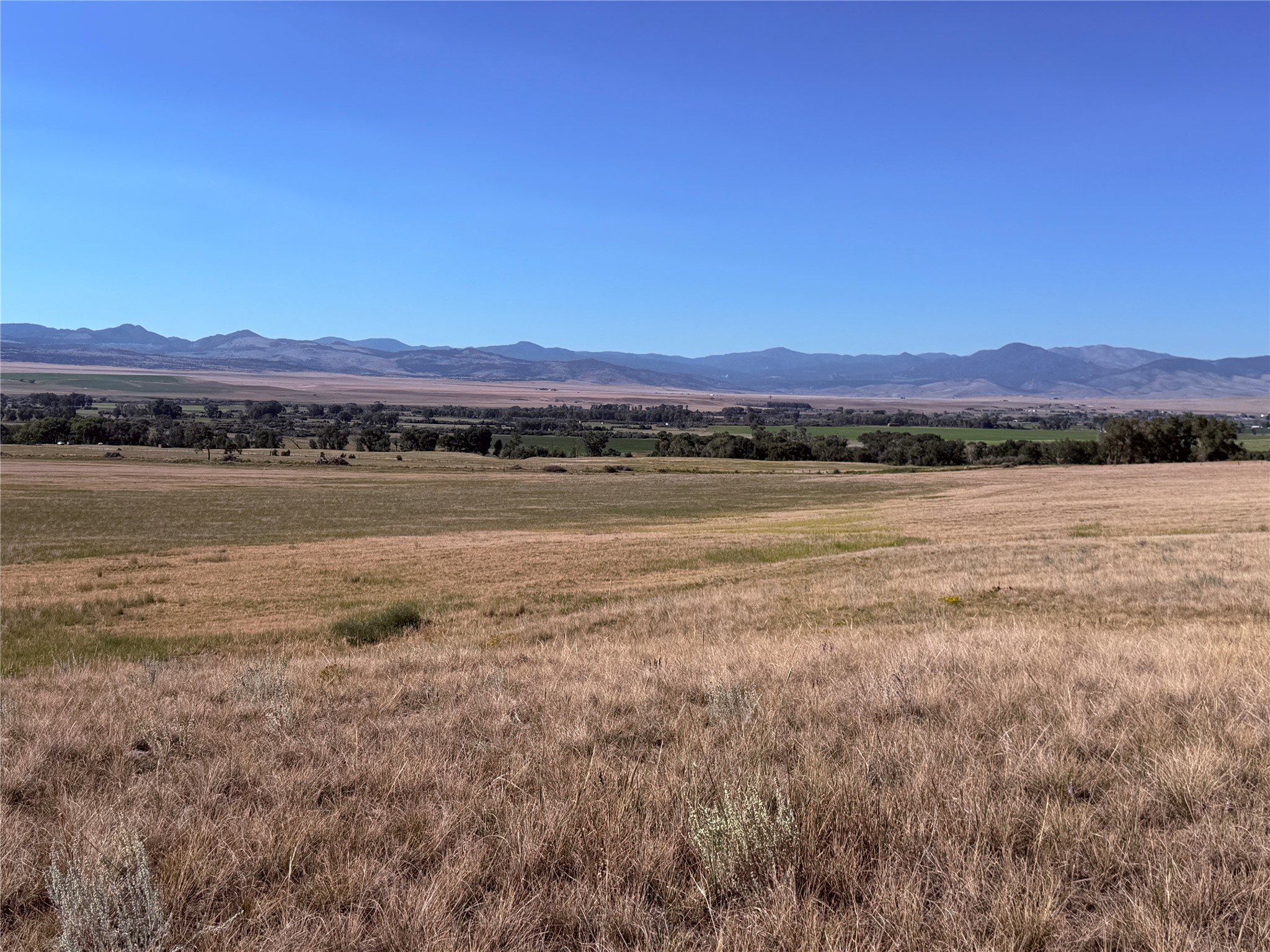 Tbd Point Of Rocks Road Property Photo 3