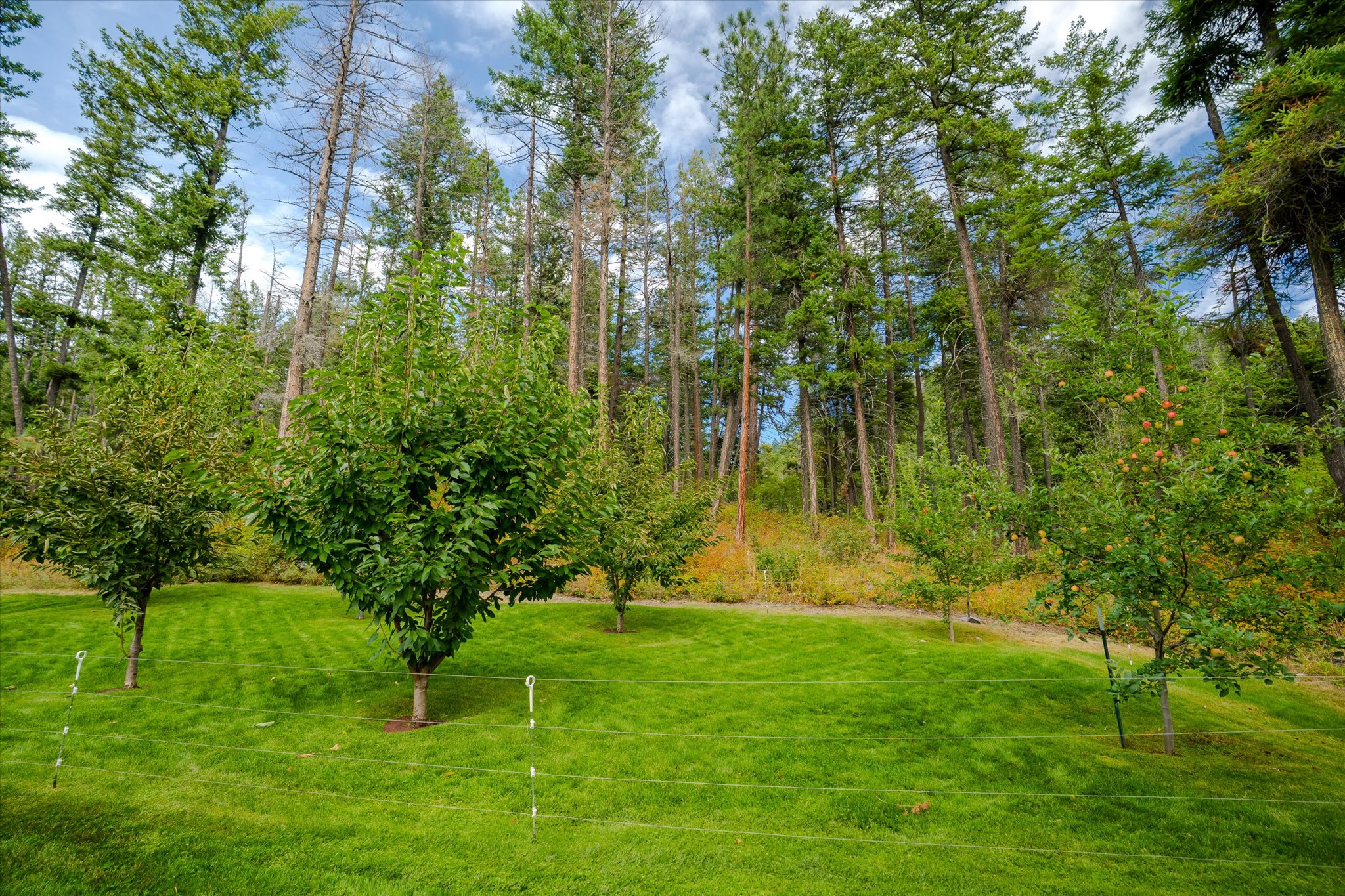 28270 Liebig Lane Property Photo 42
