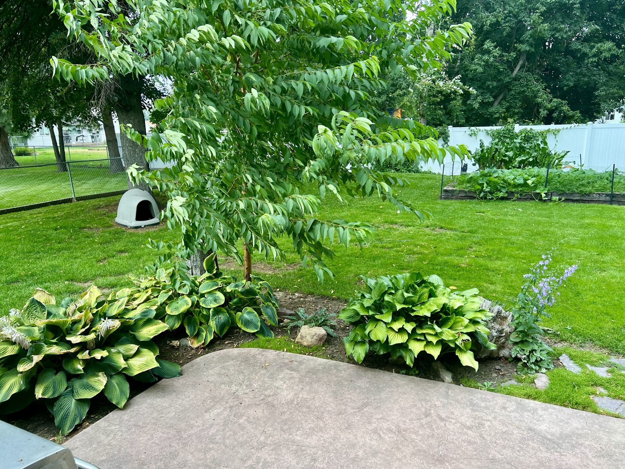 120 Parker Court Property Photo 22