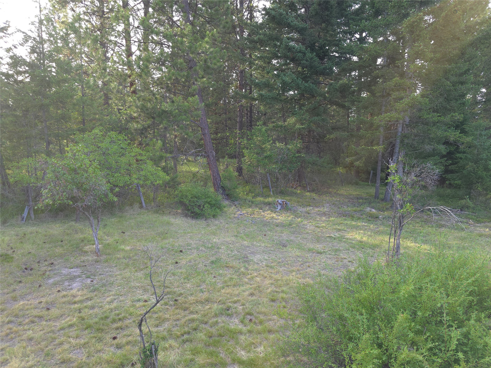 17505 Us Hwy 93 N Property Photo 85