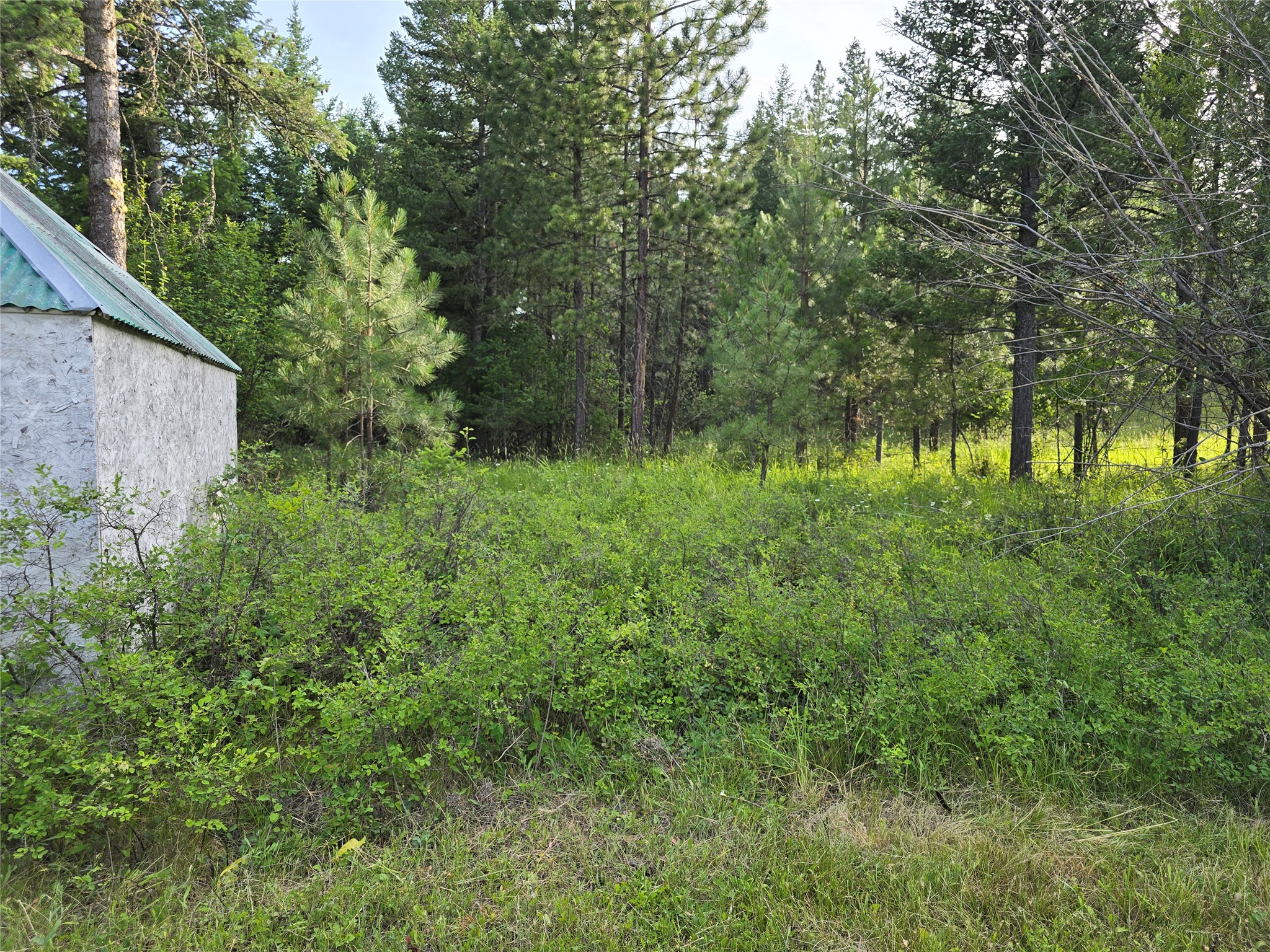 17505 Us Hwy 93 N Property Photo 88