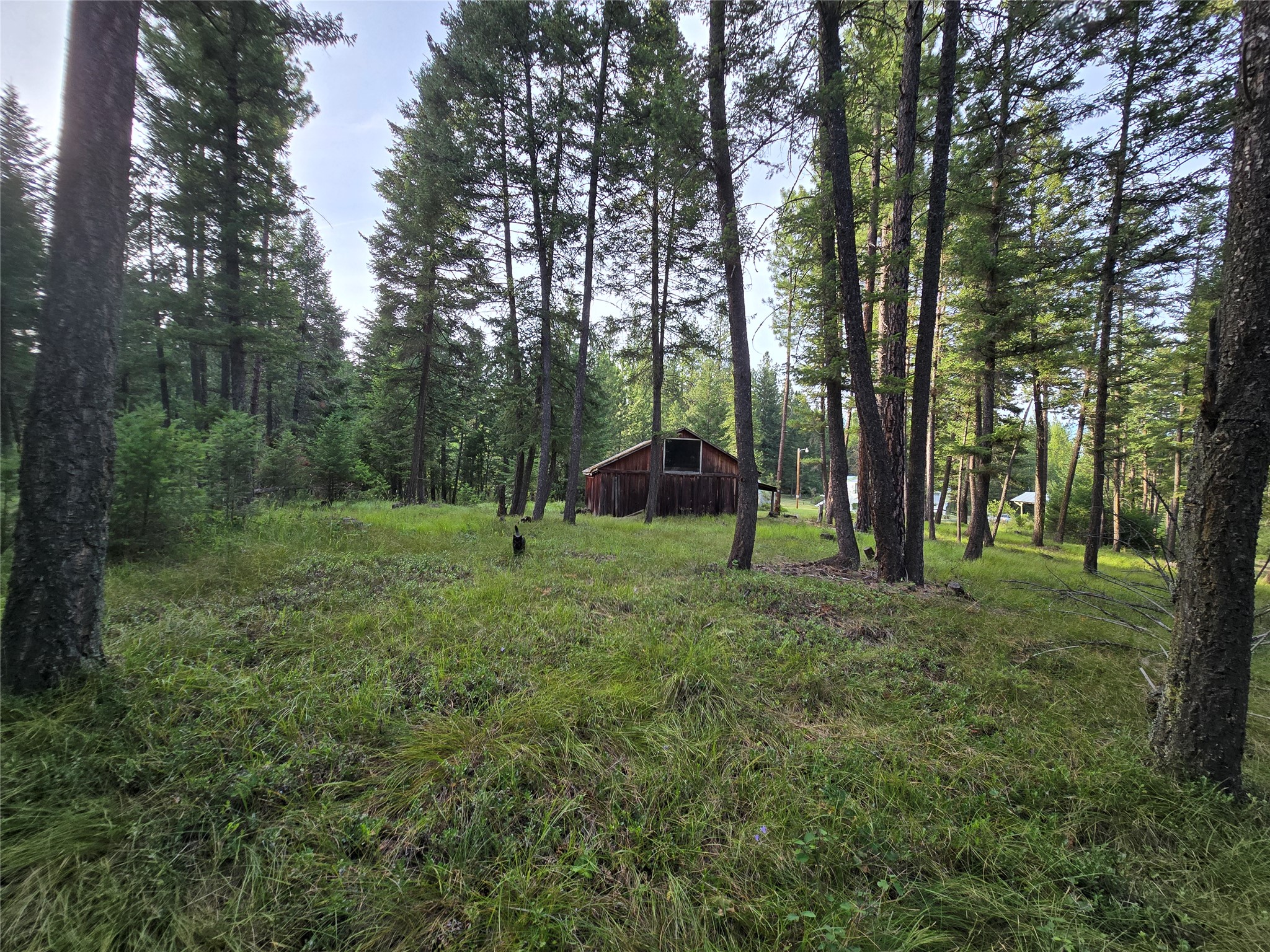 17505 Us Hwy 93 N Property Photo 90