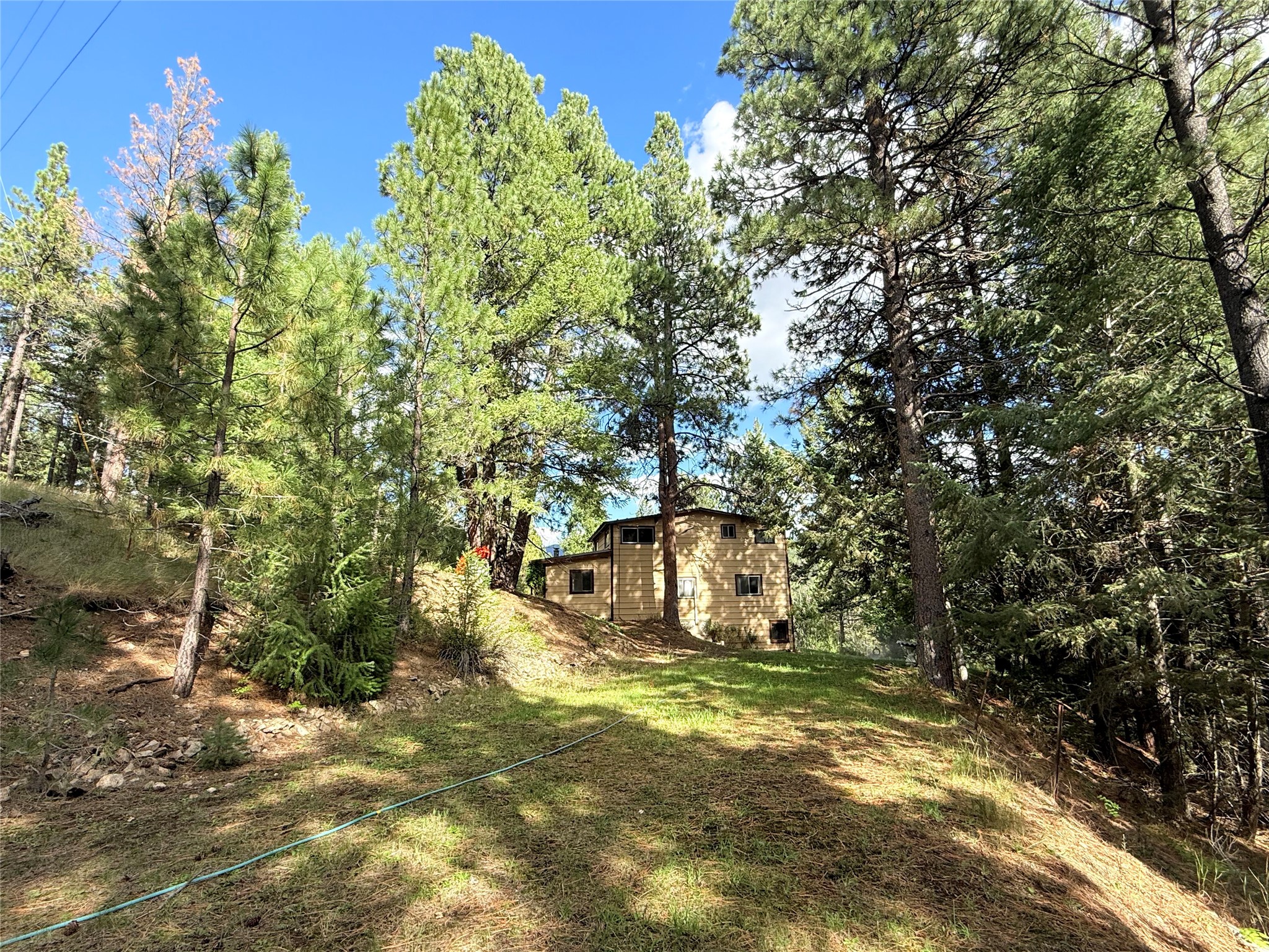 141 Findley Trail Property Photo 49