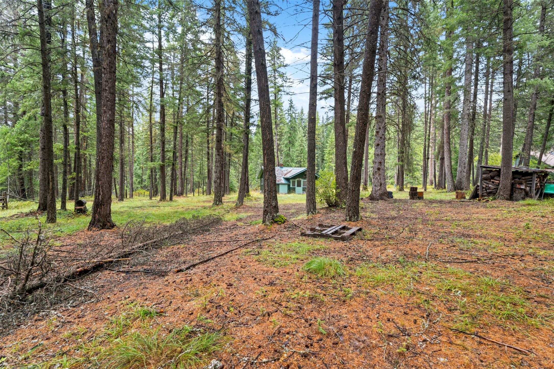 26222 Butler Creek Road Property Photo 20