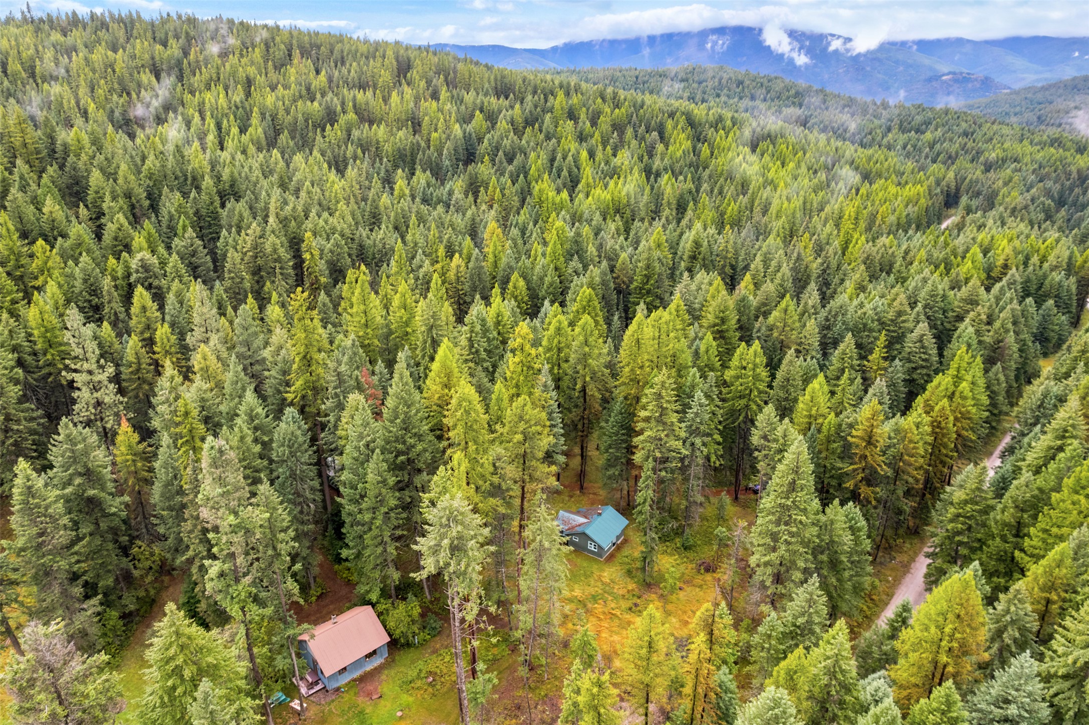 26222 Butler Creek Road Property Photo 22