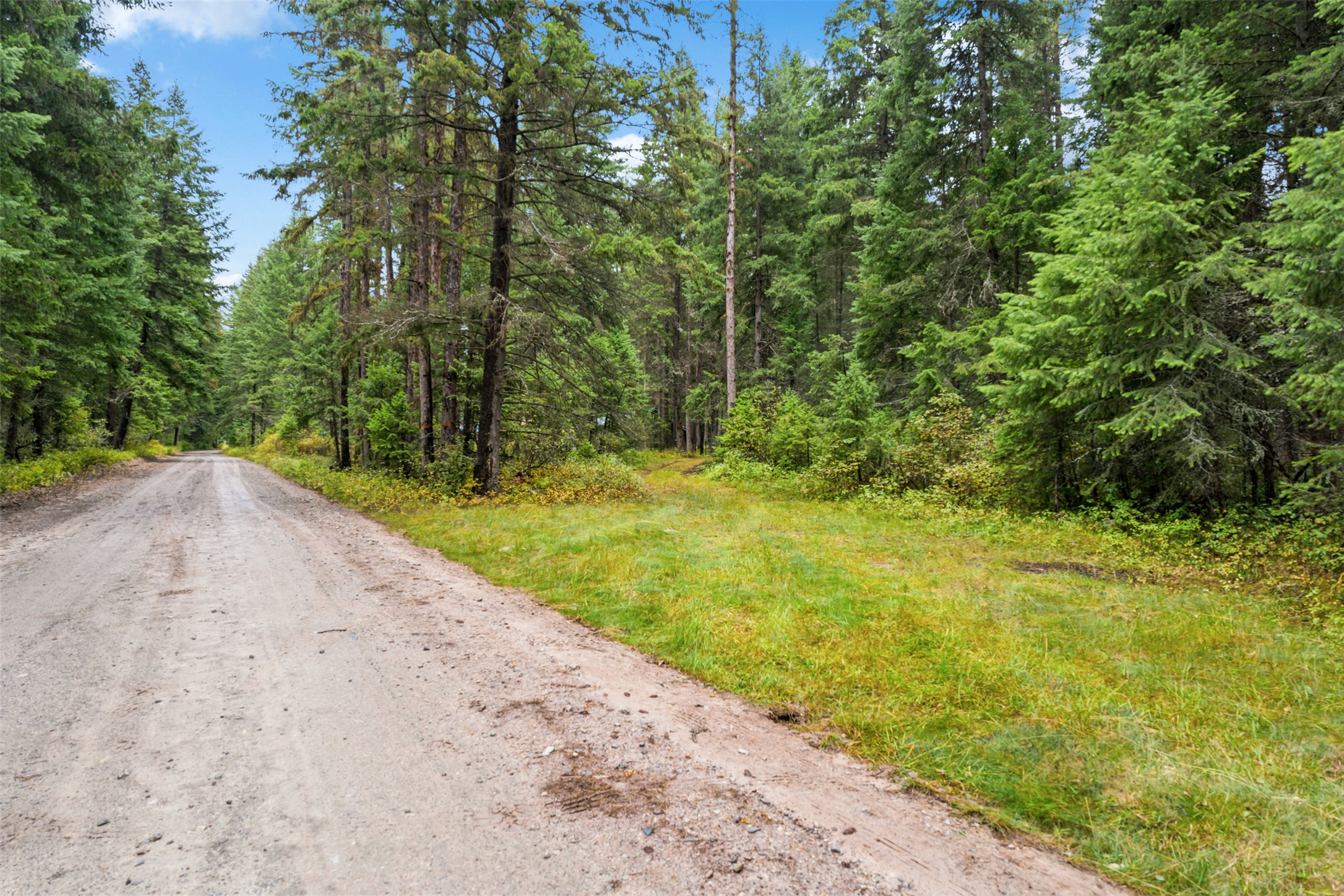 26222 Butler Creek Road Property Photo 27