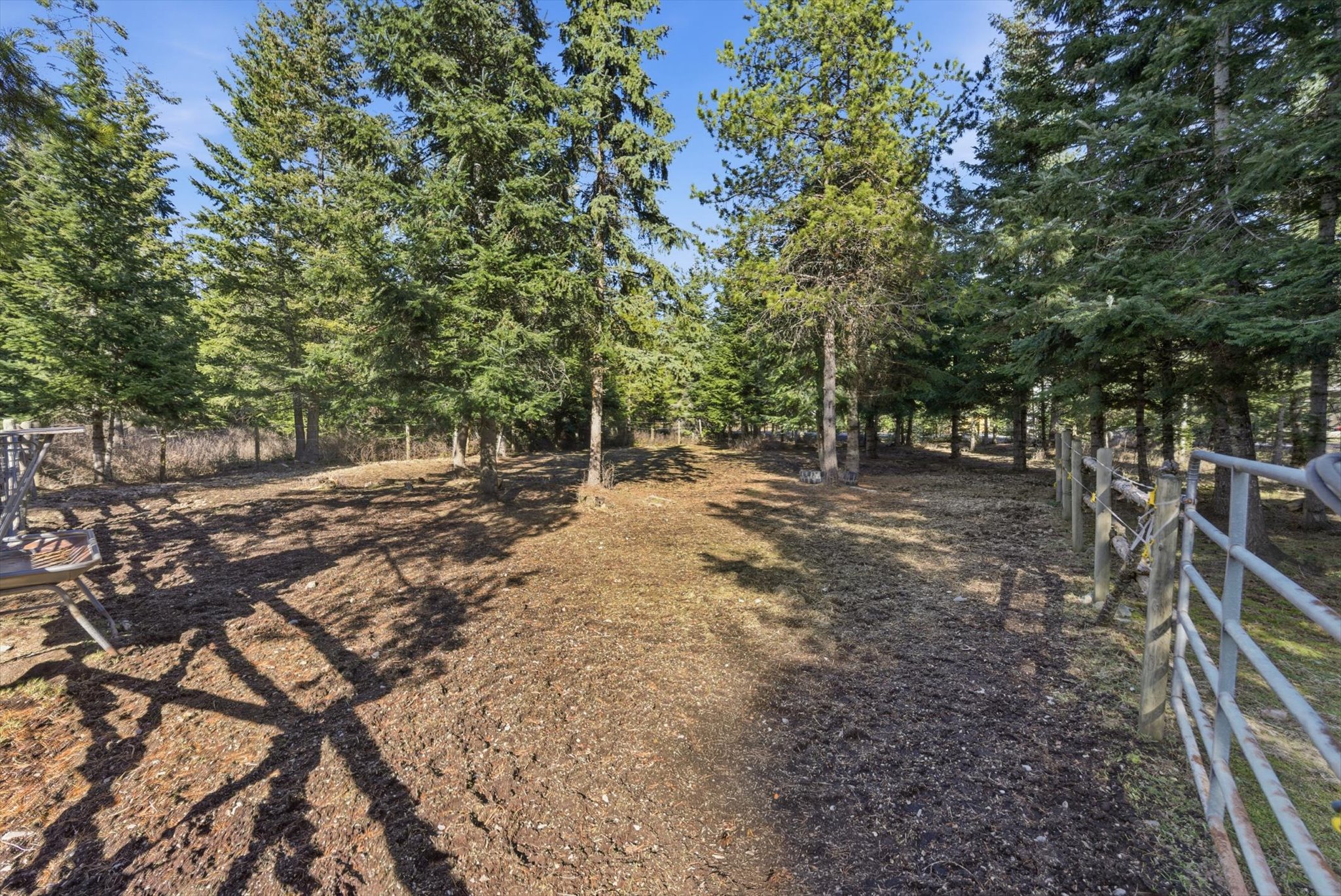 161 Deerfoot Trail Property Photo 23