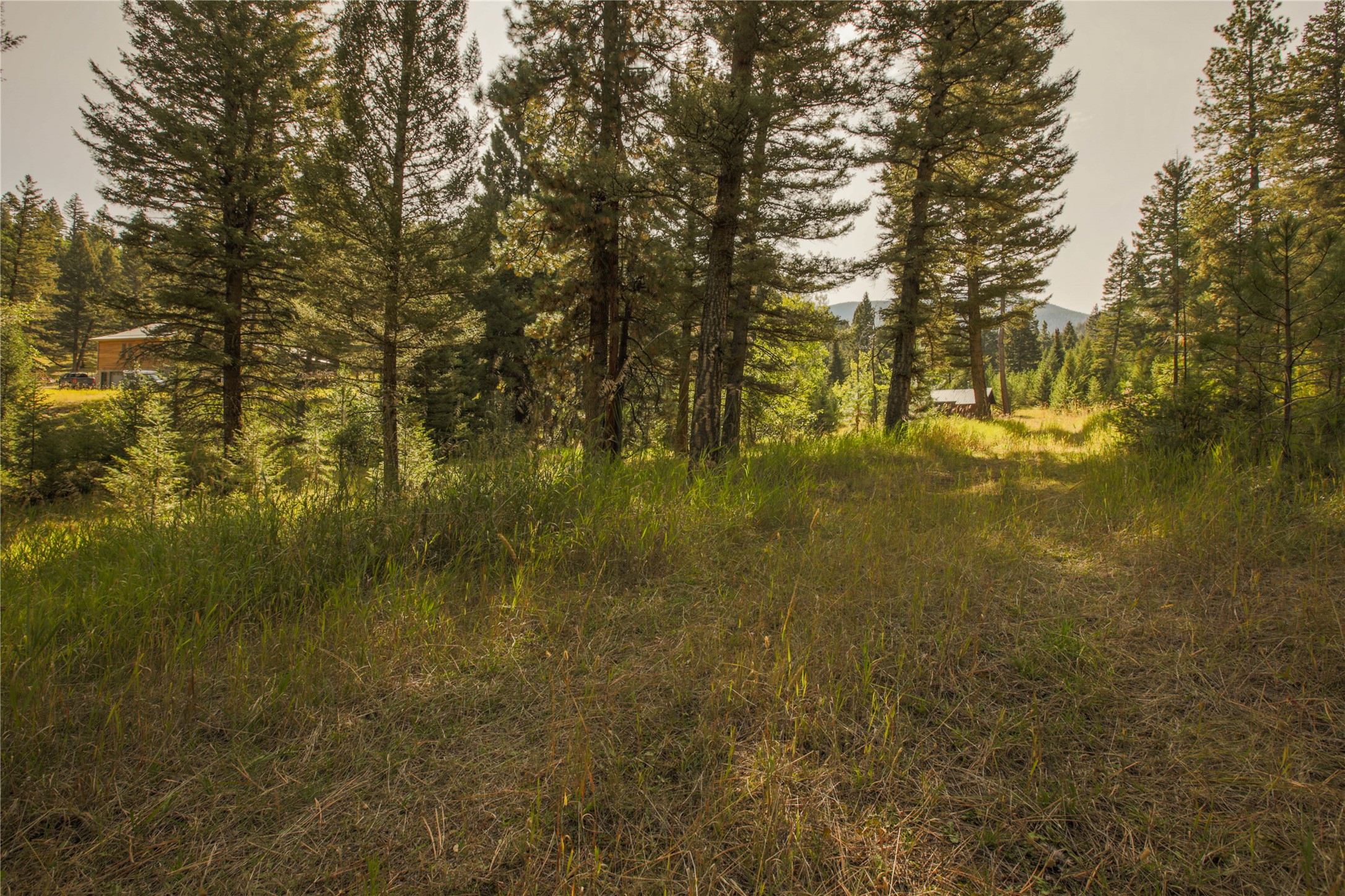 240 Tizer Lake Road Property Photo 44