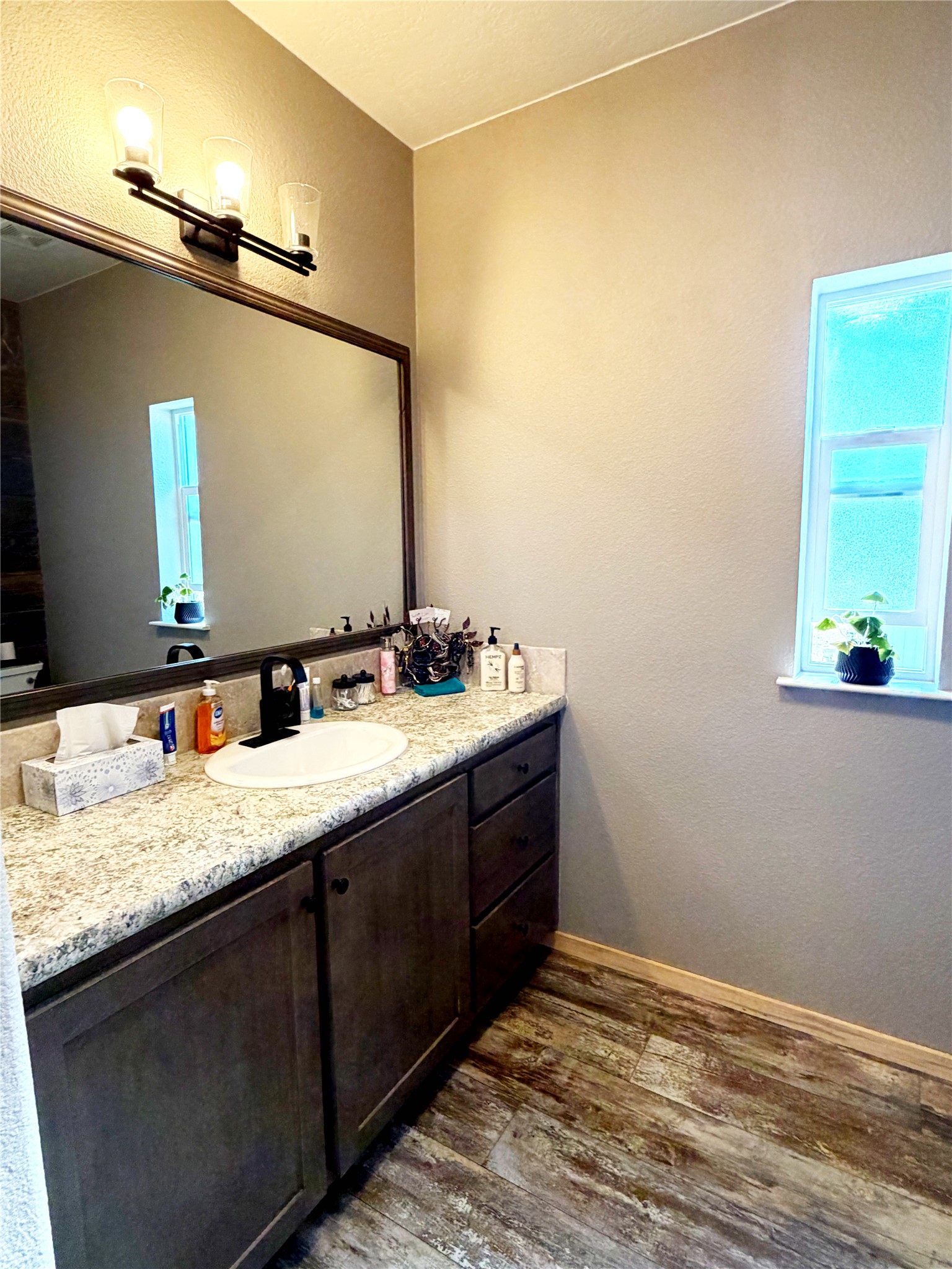 3229 Carrie Court Property Photo 8