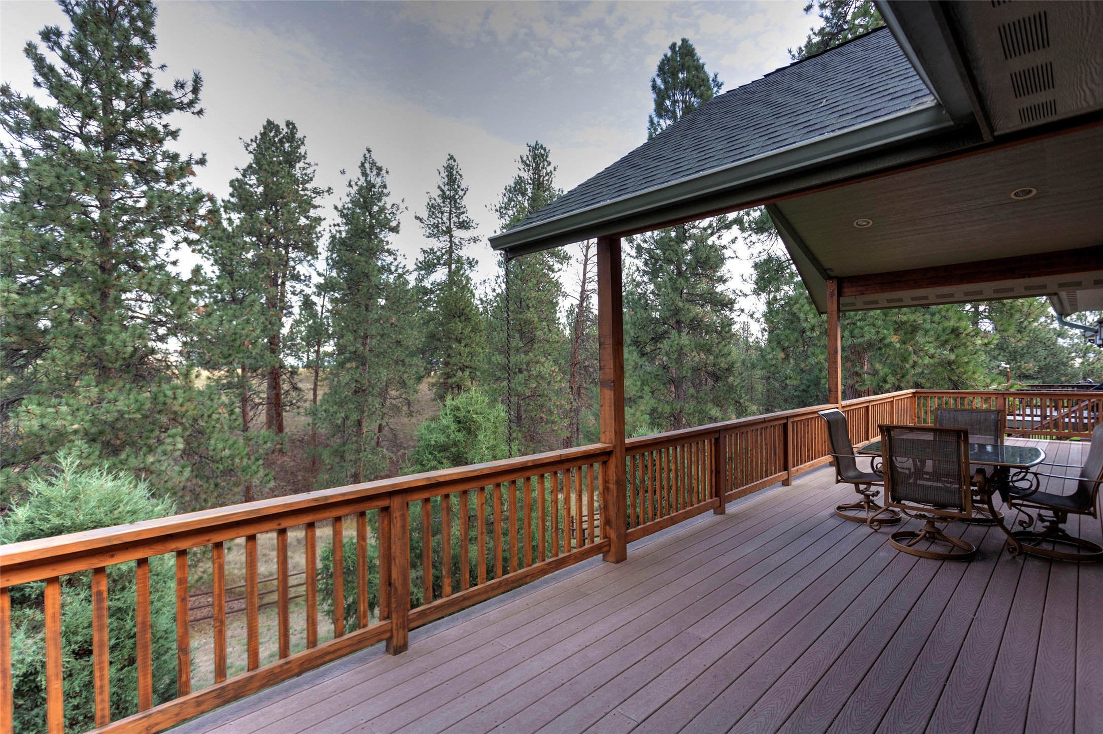 10529 Coulter Pine Street Property Photo 2