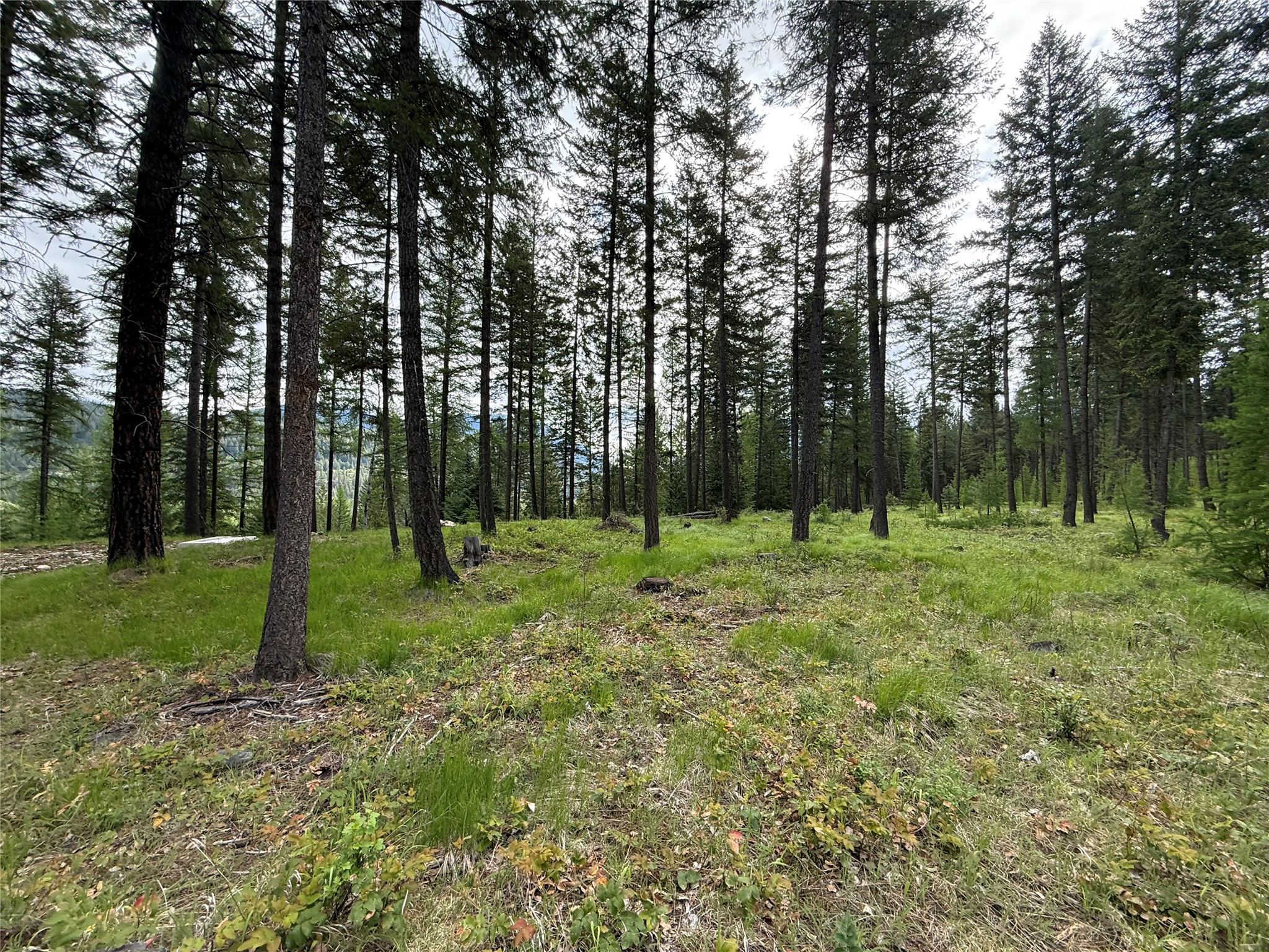Parcel A Kootenai Drive Property Photo 4