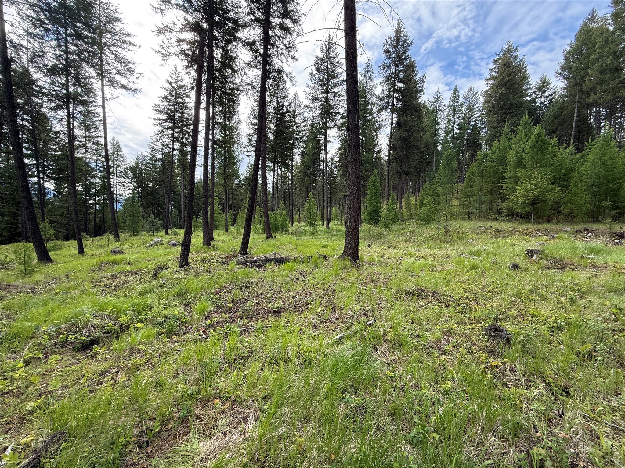 Parcel A Kootenai Drive Property Photo 5