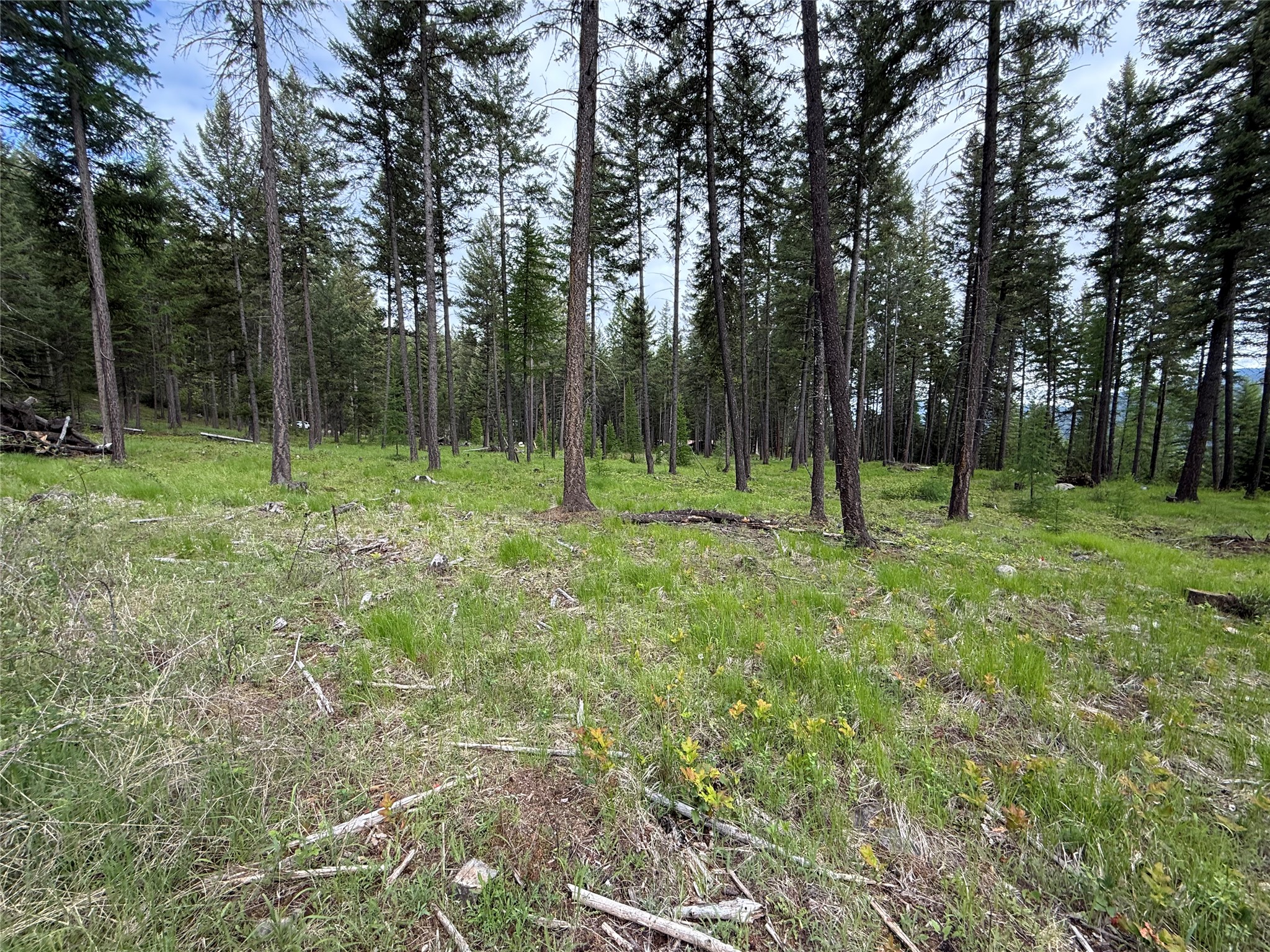 Parcel A Kootenai Drive Property Photo 6