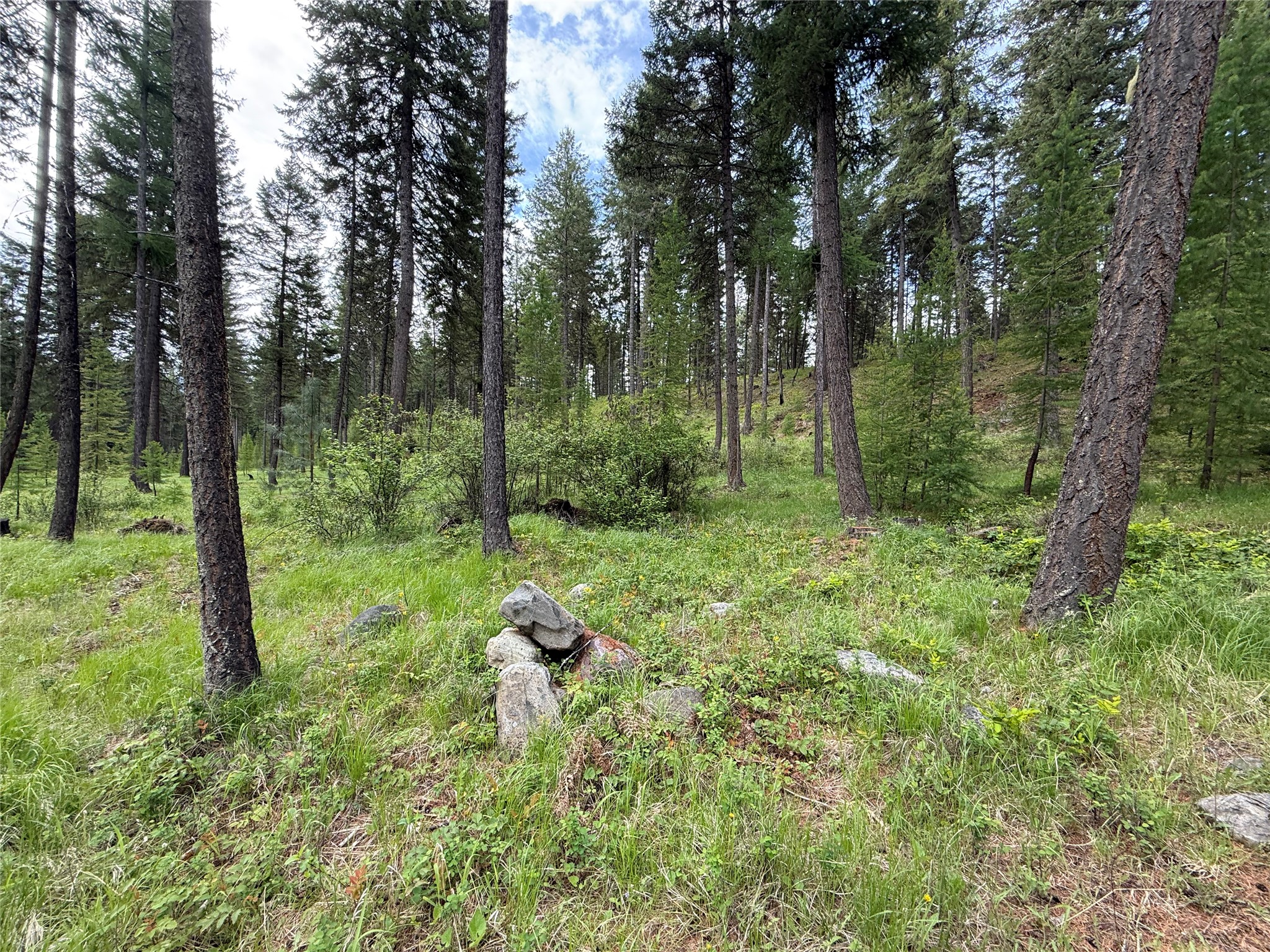 Parcel A Kootenai Drive Property Photo 7