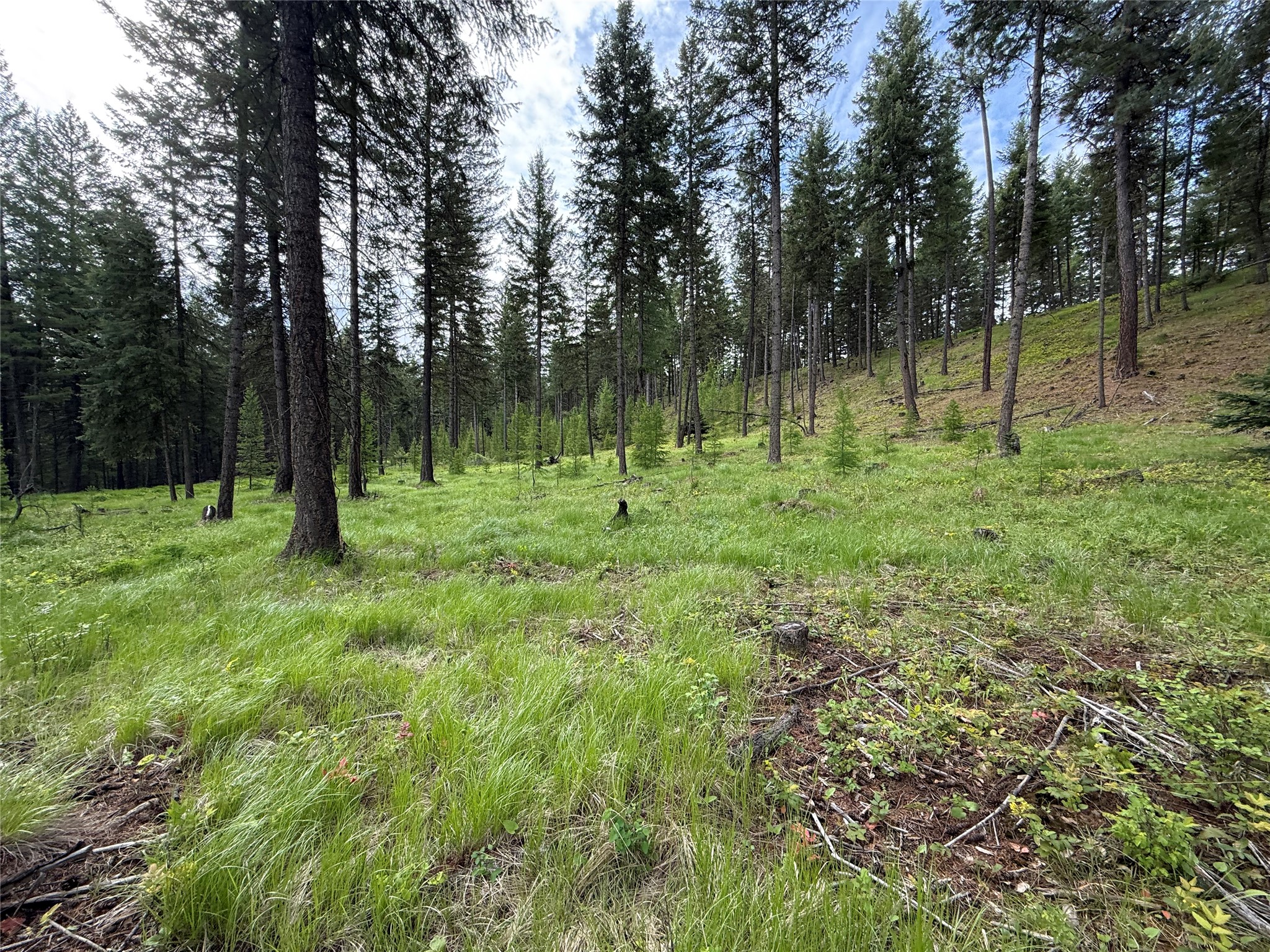 Parcel A Kootenai Drive Property Photo 8