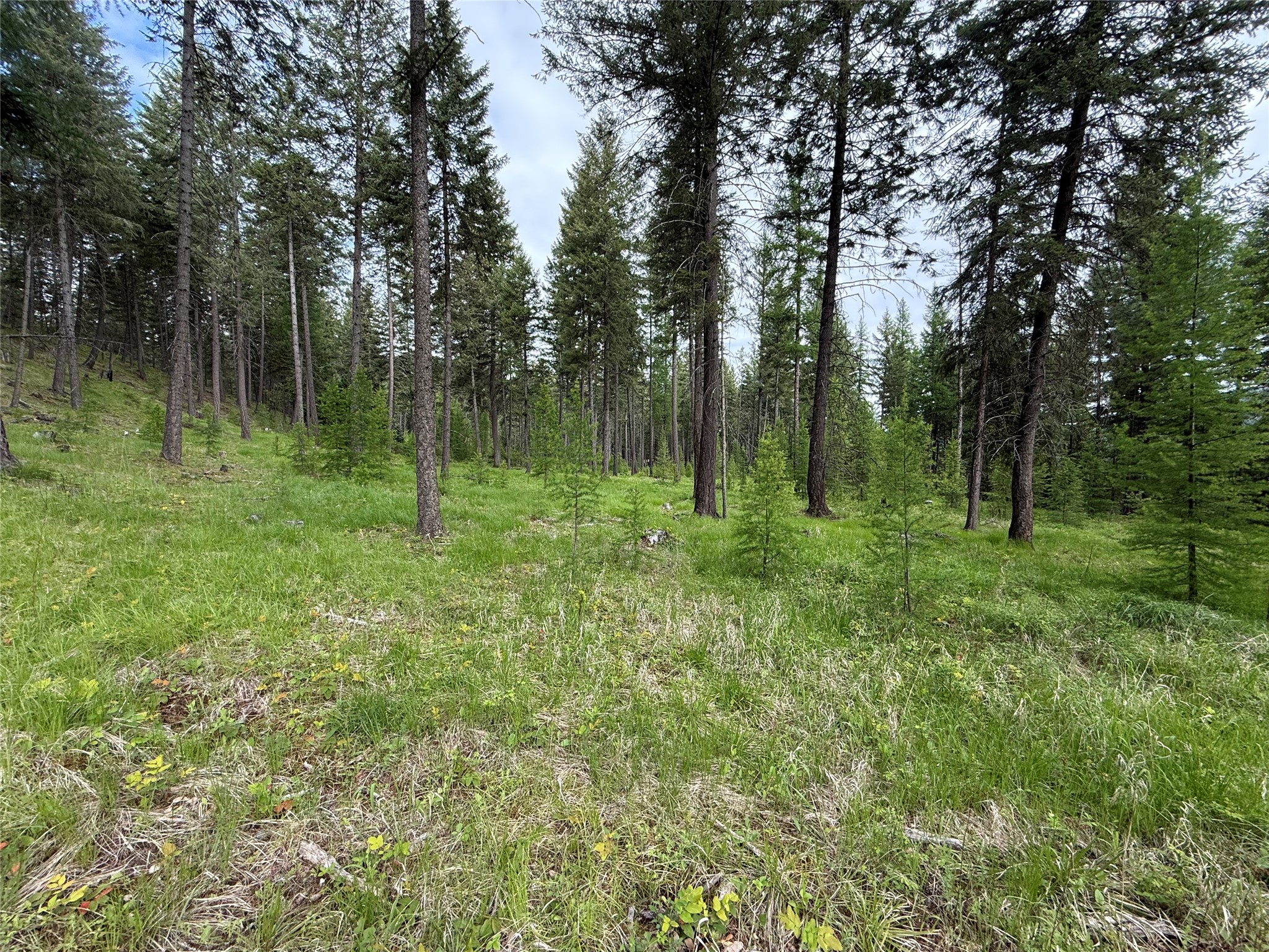 Parcel A Kootenai Drive Property Photo 9